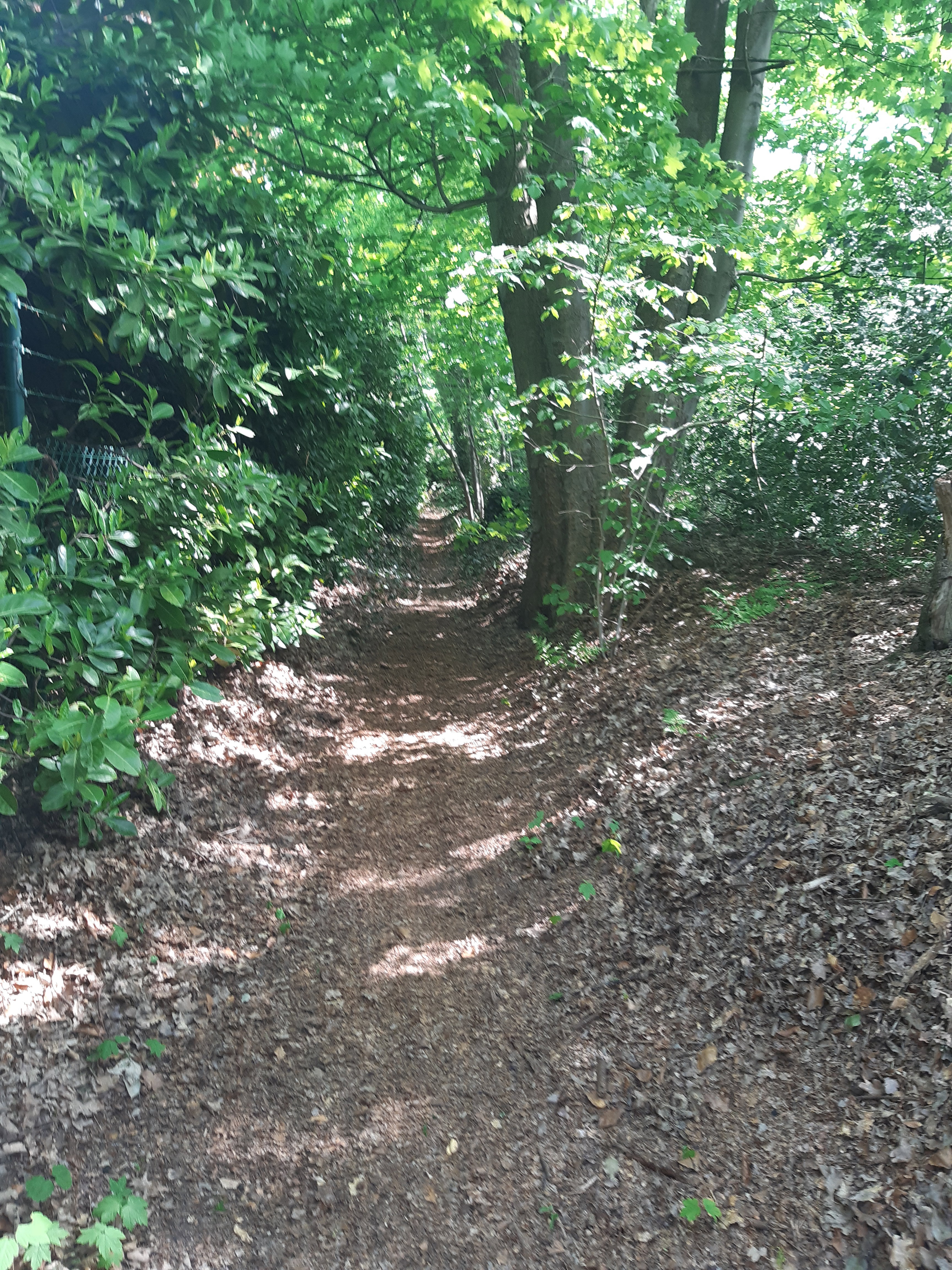 Naturhäuschen in Schijf