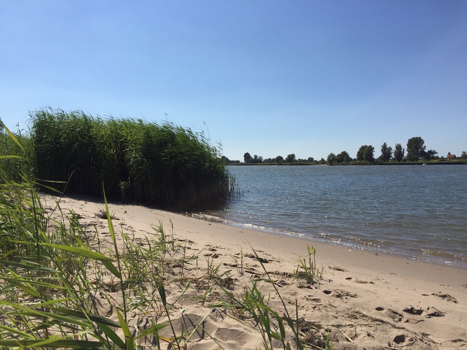 Natuurhuisje in Langerak