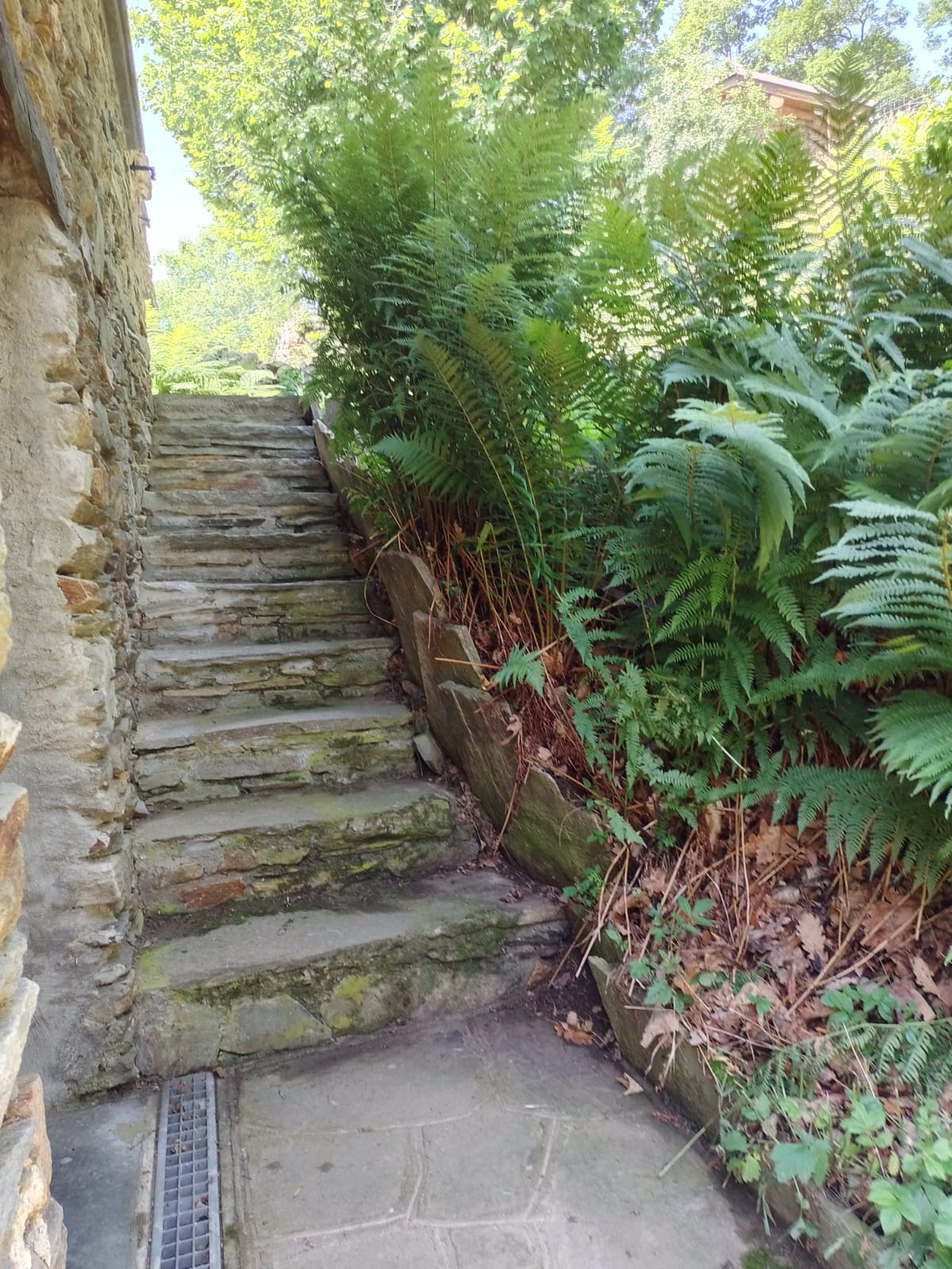 Casa nella natura a Villar Pellice (TO)