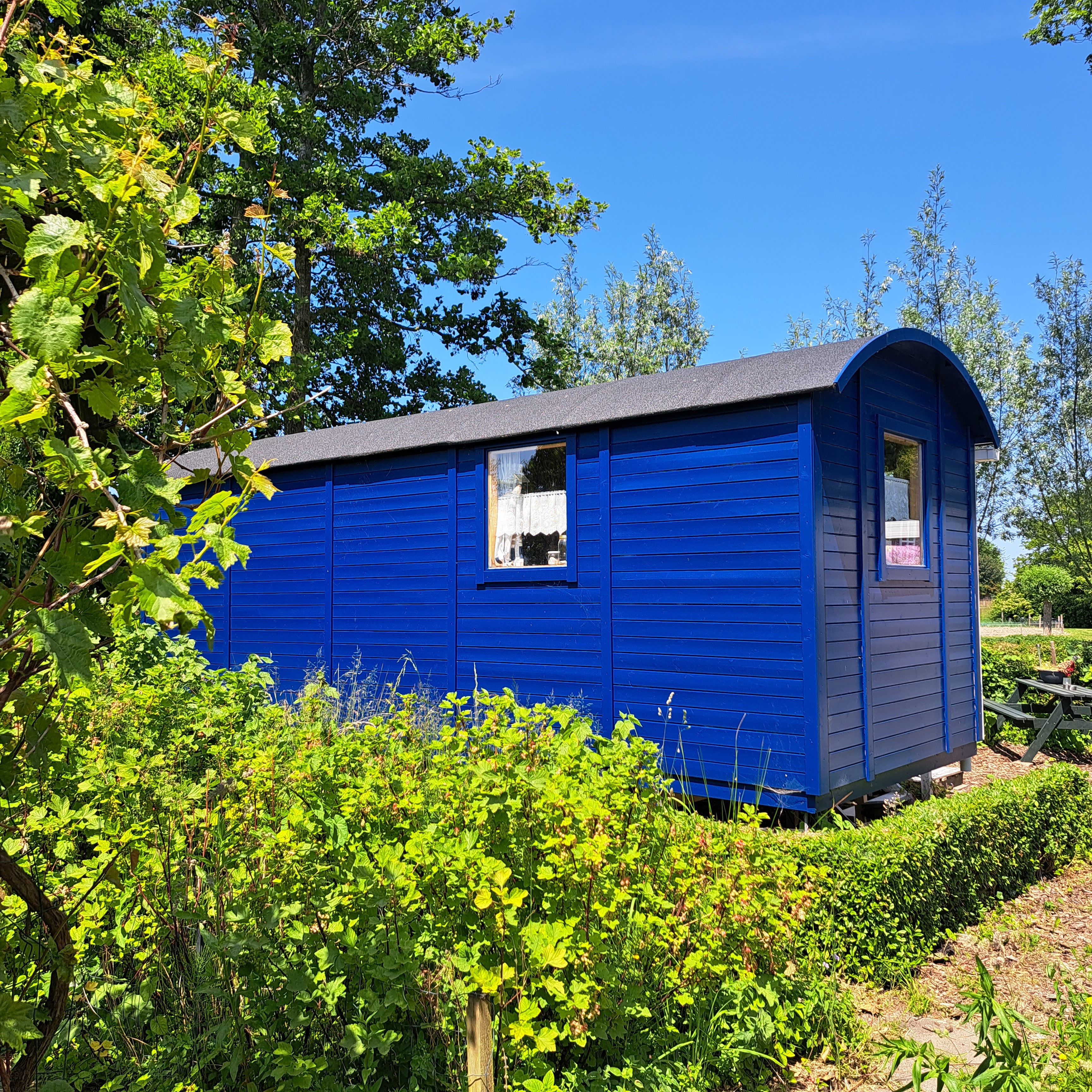 Natuurhuisje in Wolphaartsdijk