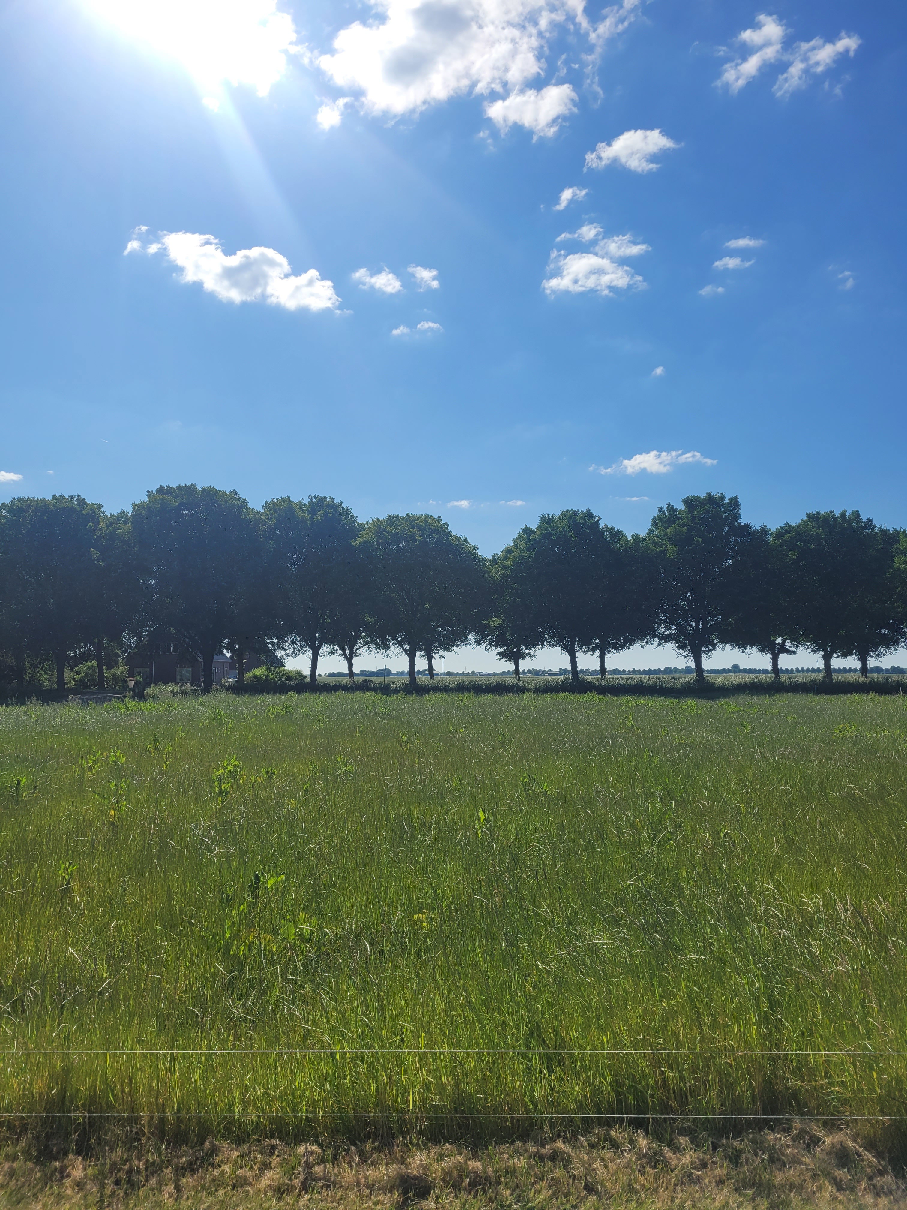 Casa nella natura a Wieringerwaard