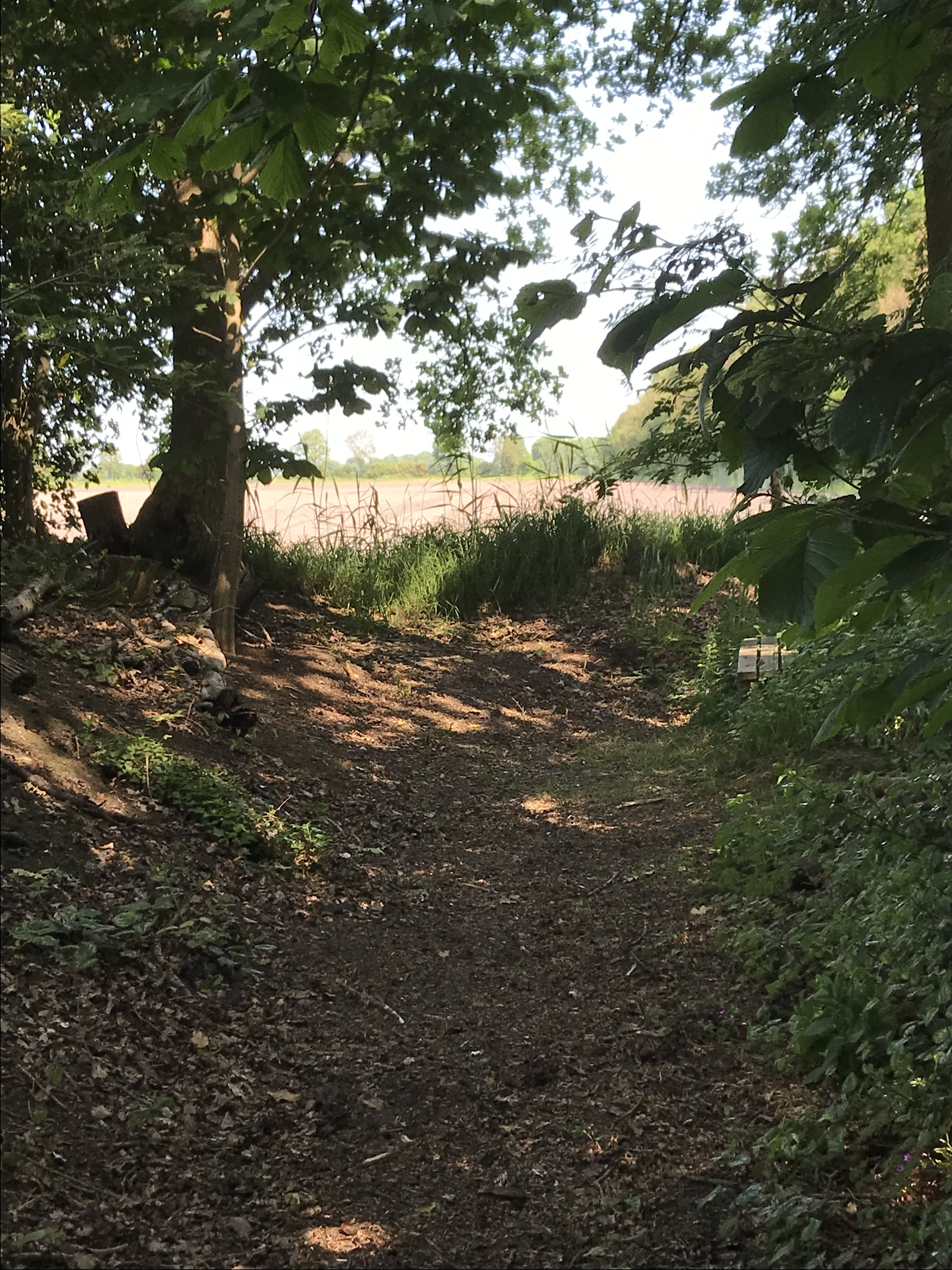 Natuurhuisje in Vinkega