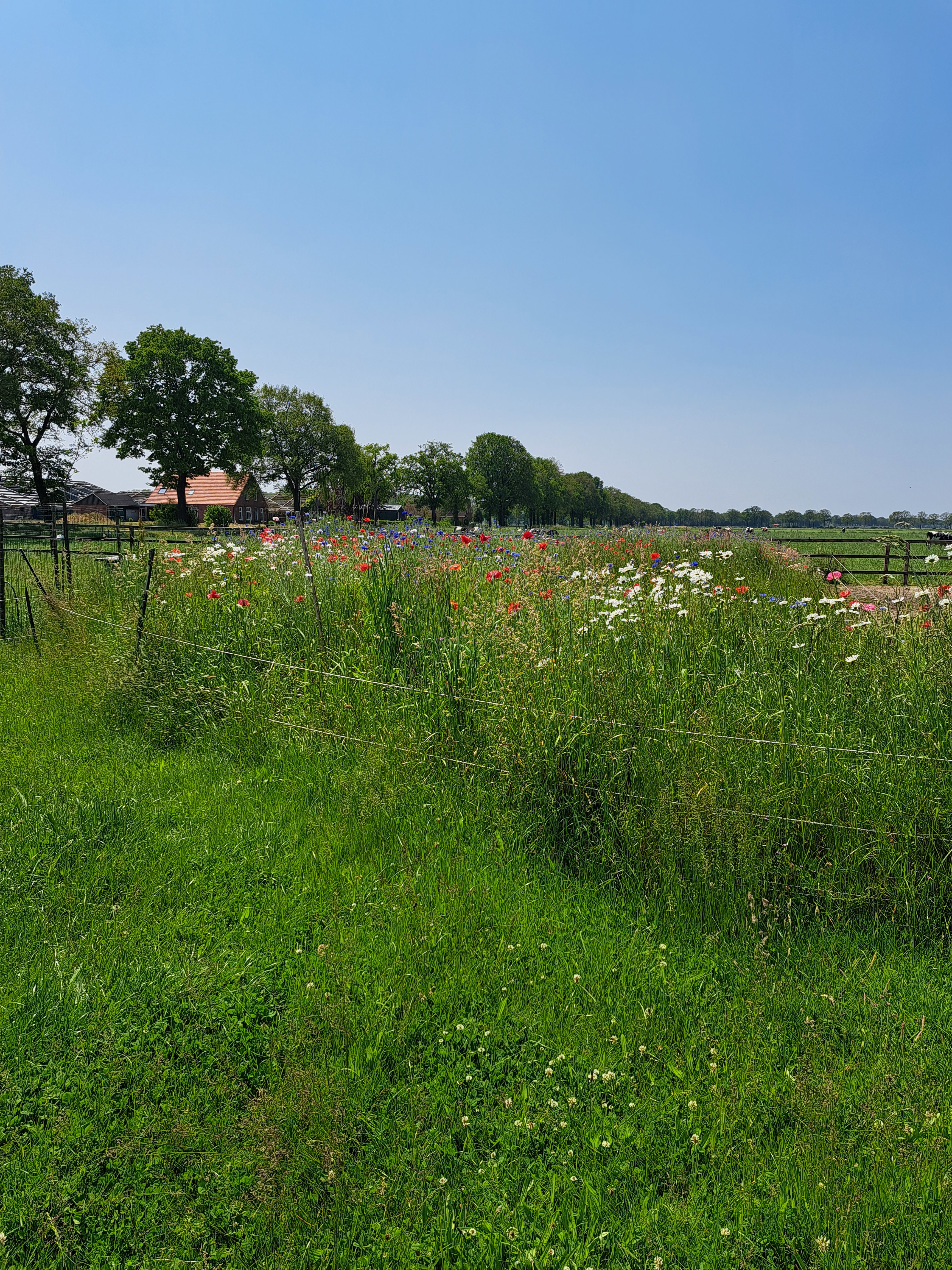 Naturhäuschen in Beltrum