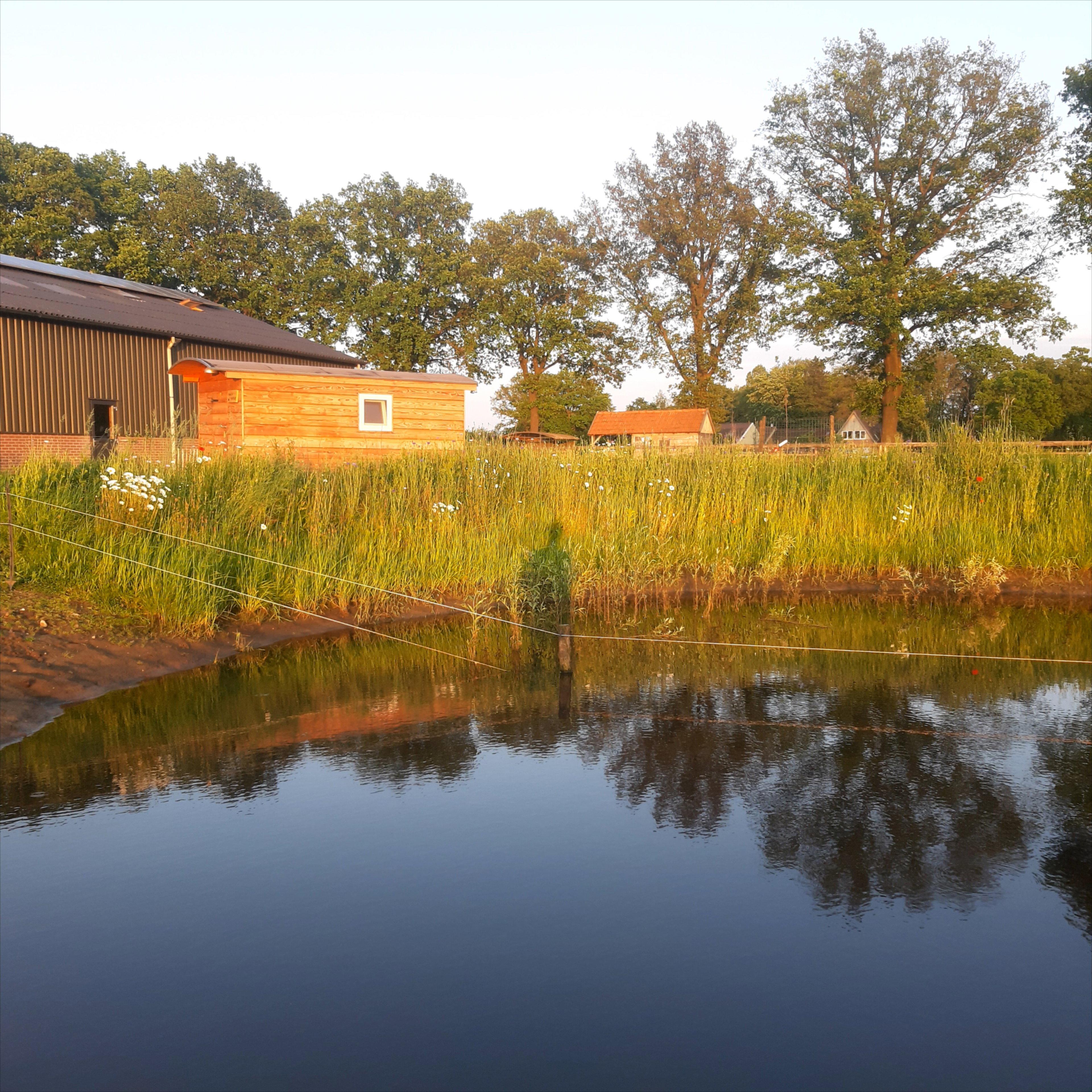 Naturhäuschen in Beltrum