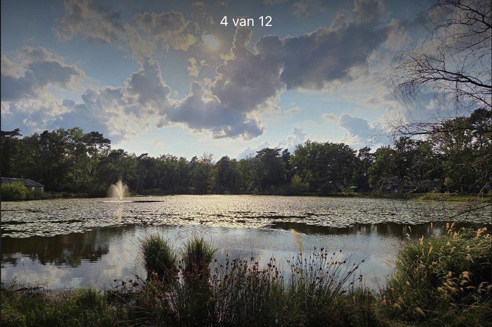 - image: 21
