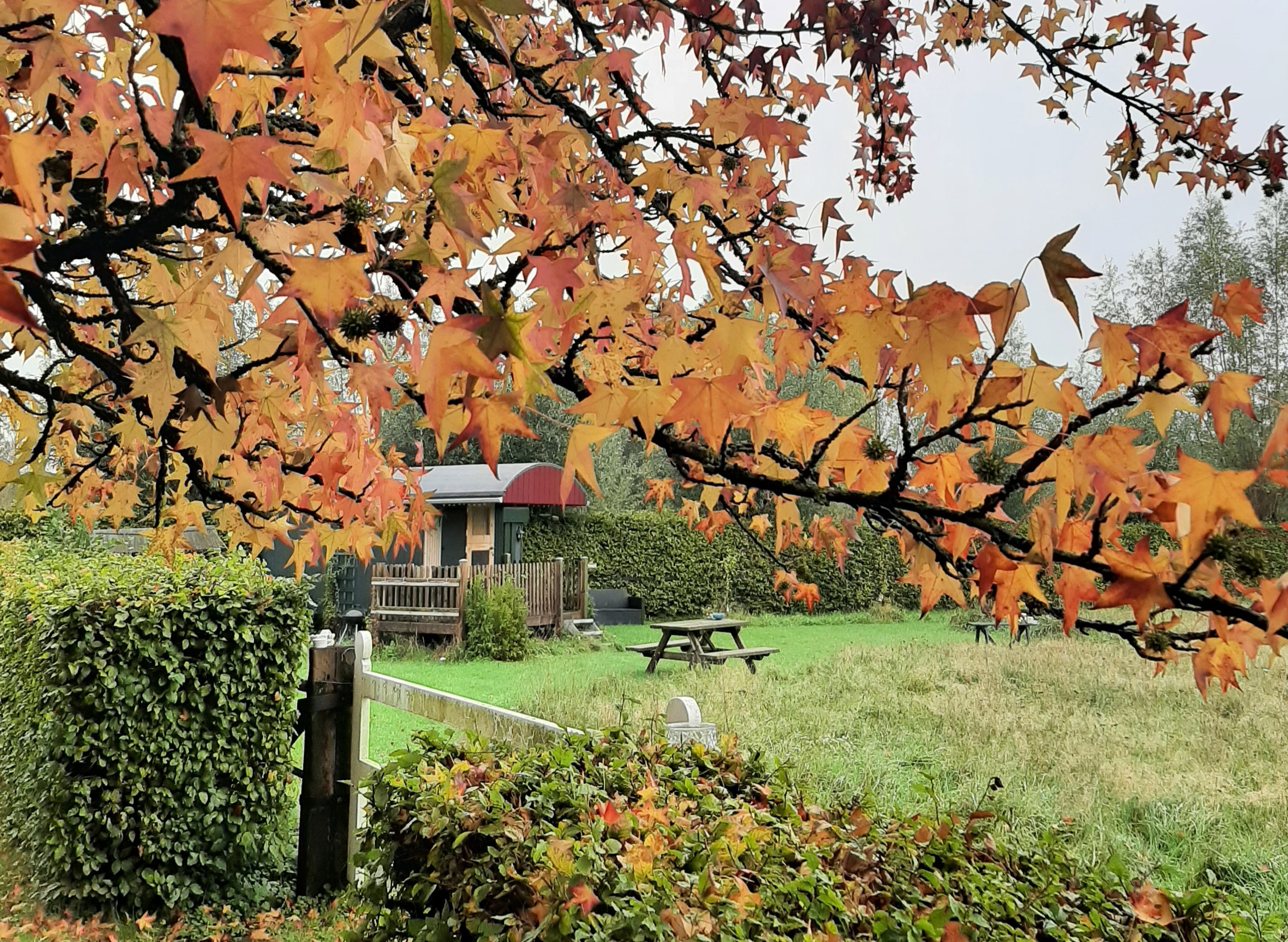 Naturhäuschen in De Heurne