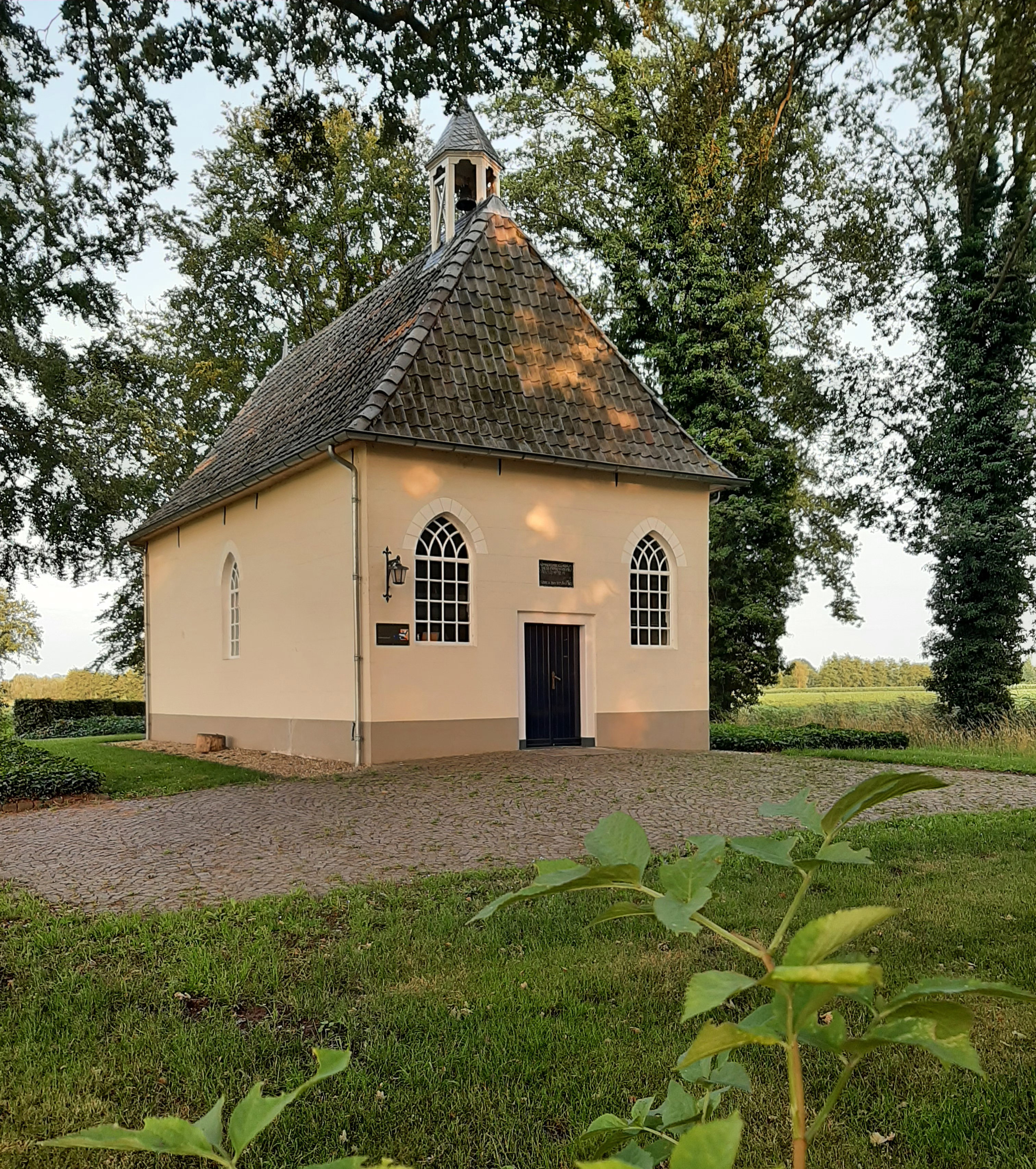 - image: 46