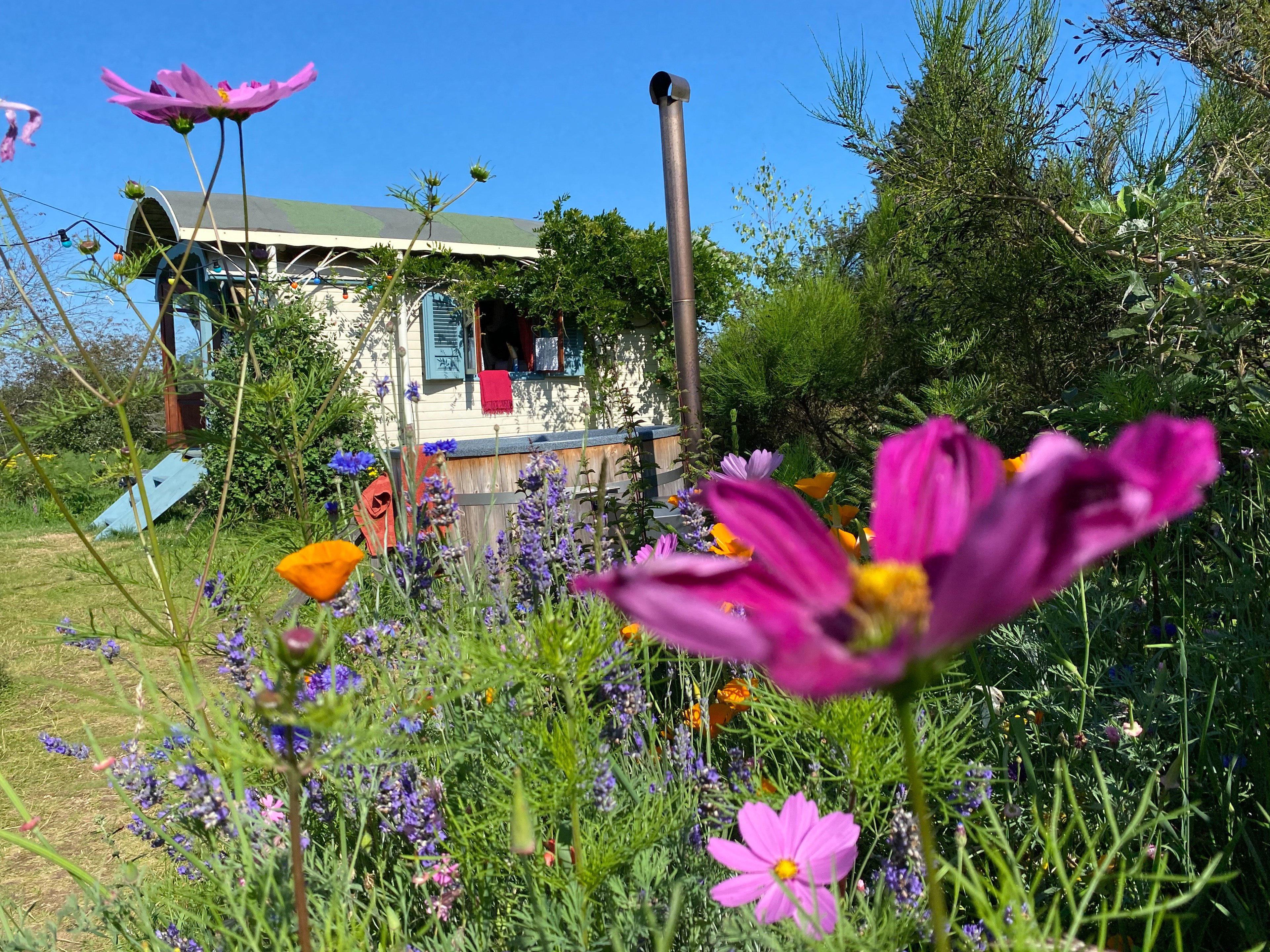 Natuurhuisje in La Chabanne