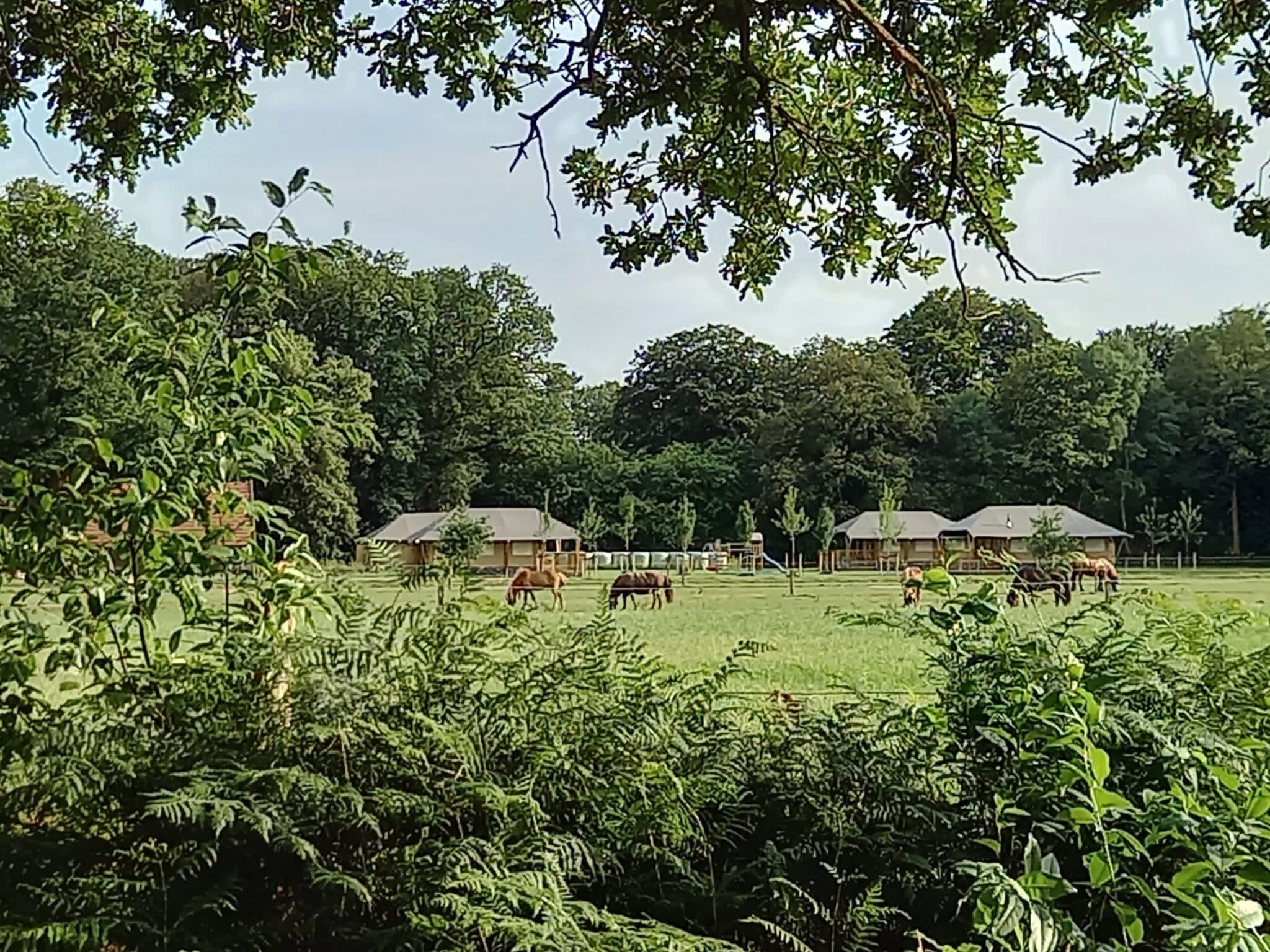 Natuurhuisje in Putten