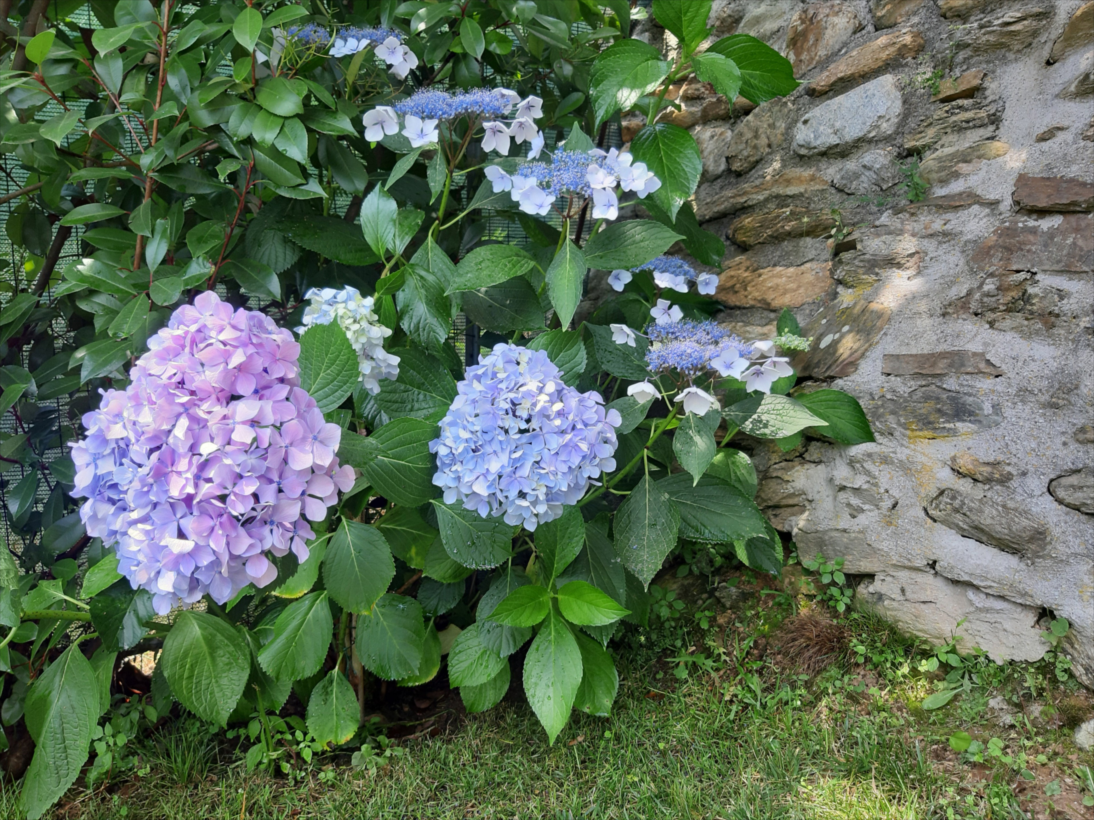 - image: 27