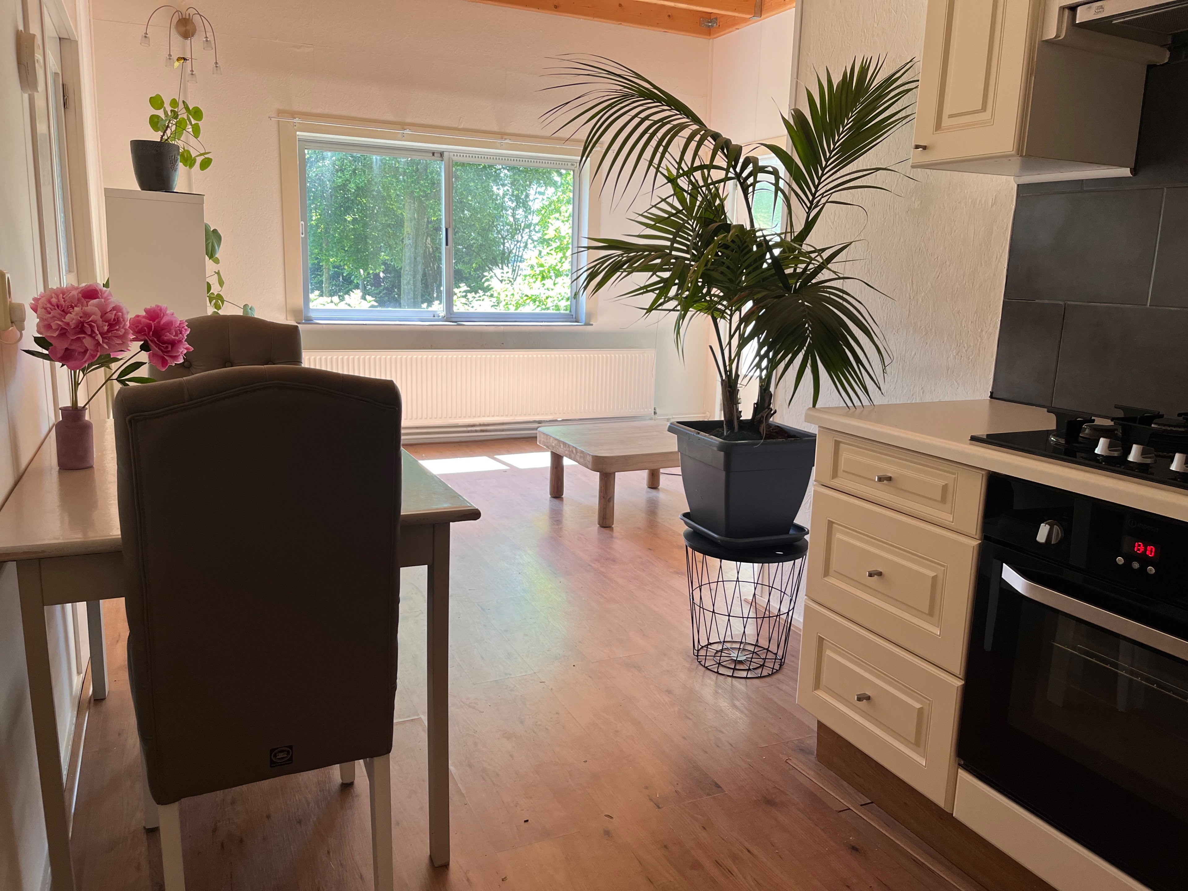 Natuurhuisje in Borger