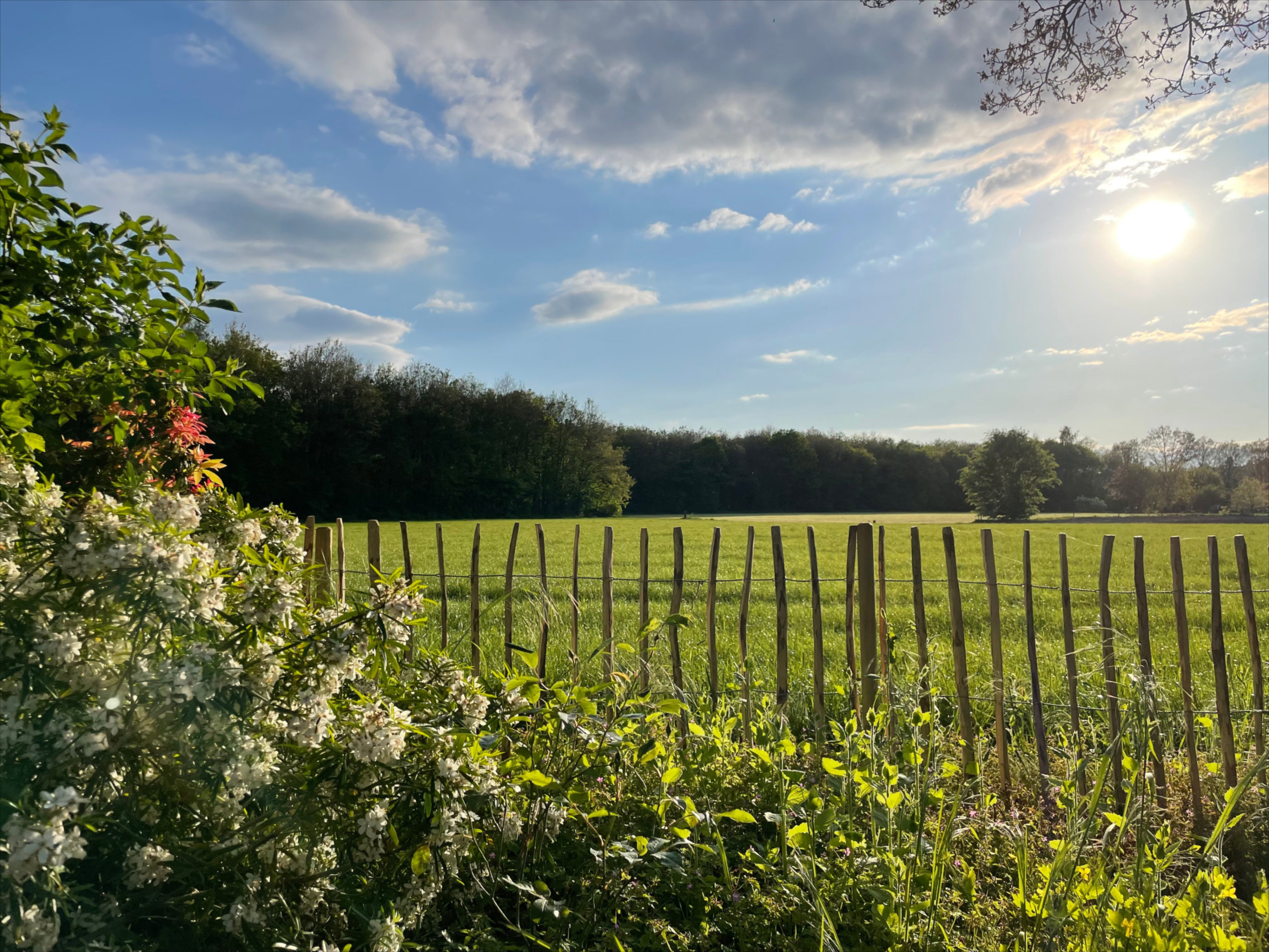 Naturhäuschen in Ruurlo