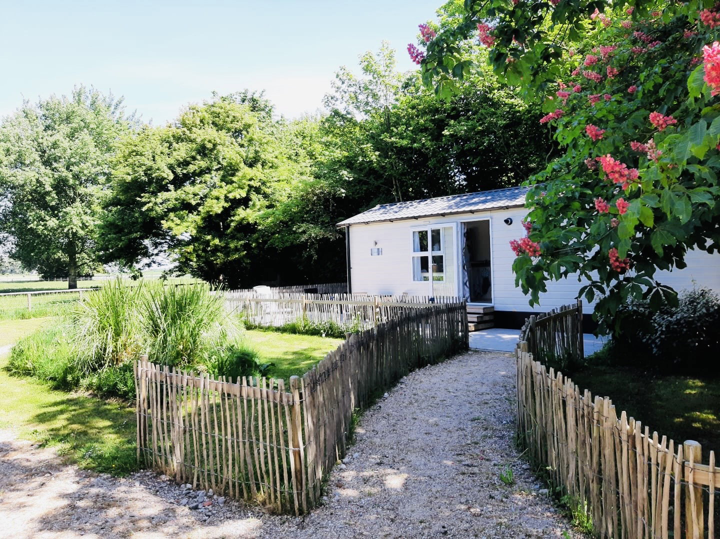 Natuurhuisje in Waarland