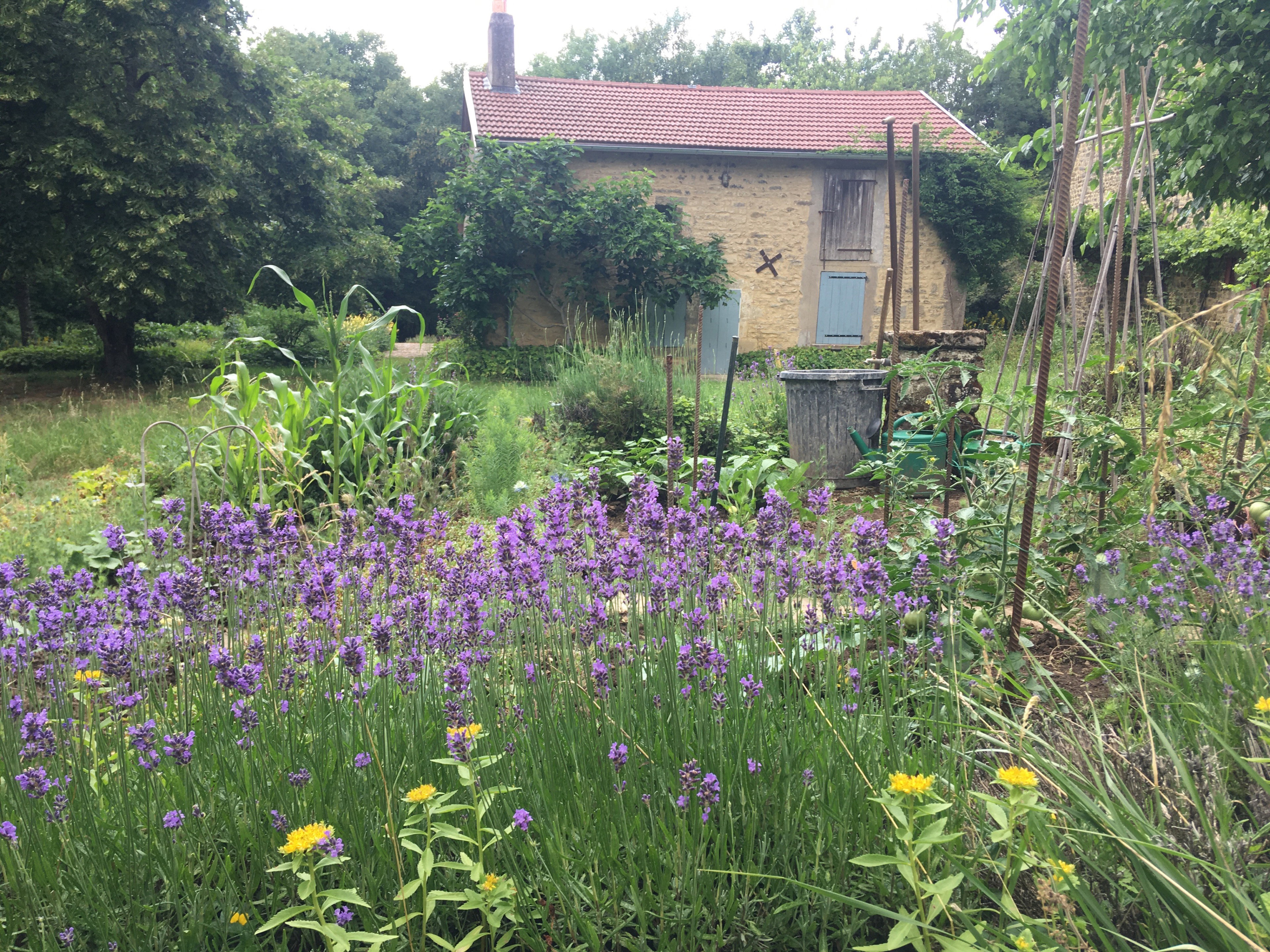 Casa nella natura a Pierremont sûr Amance