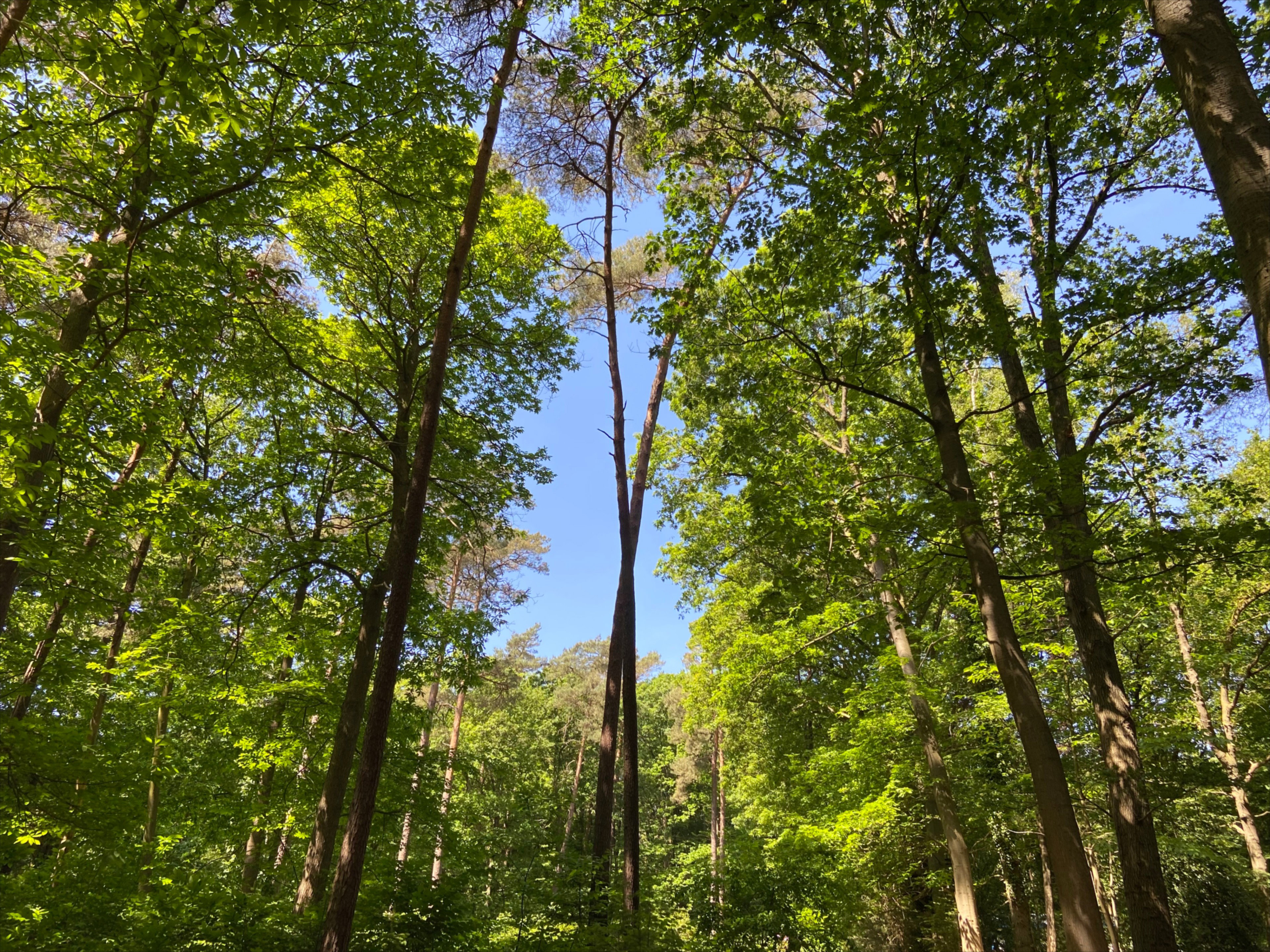 Naturhäuschen in Joppe