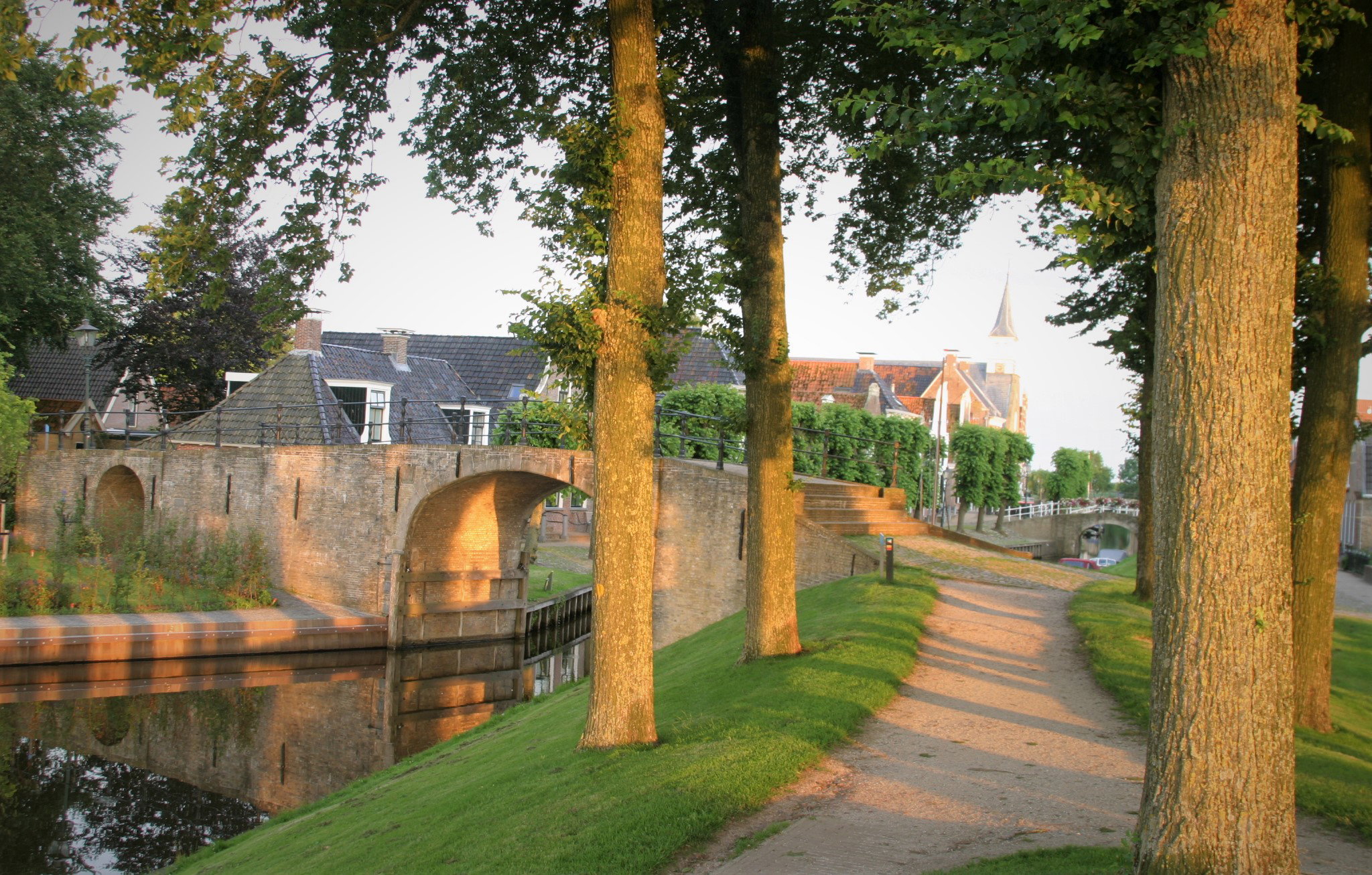 - image: 20