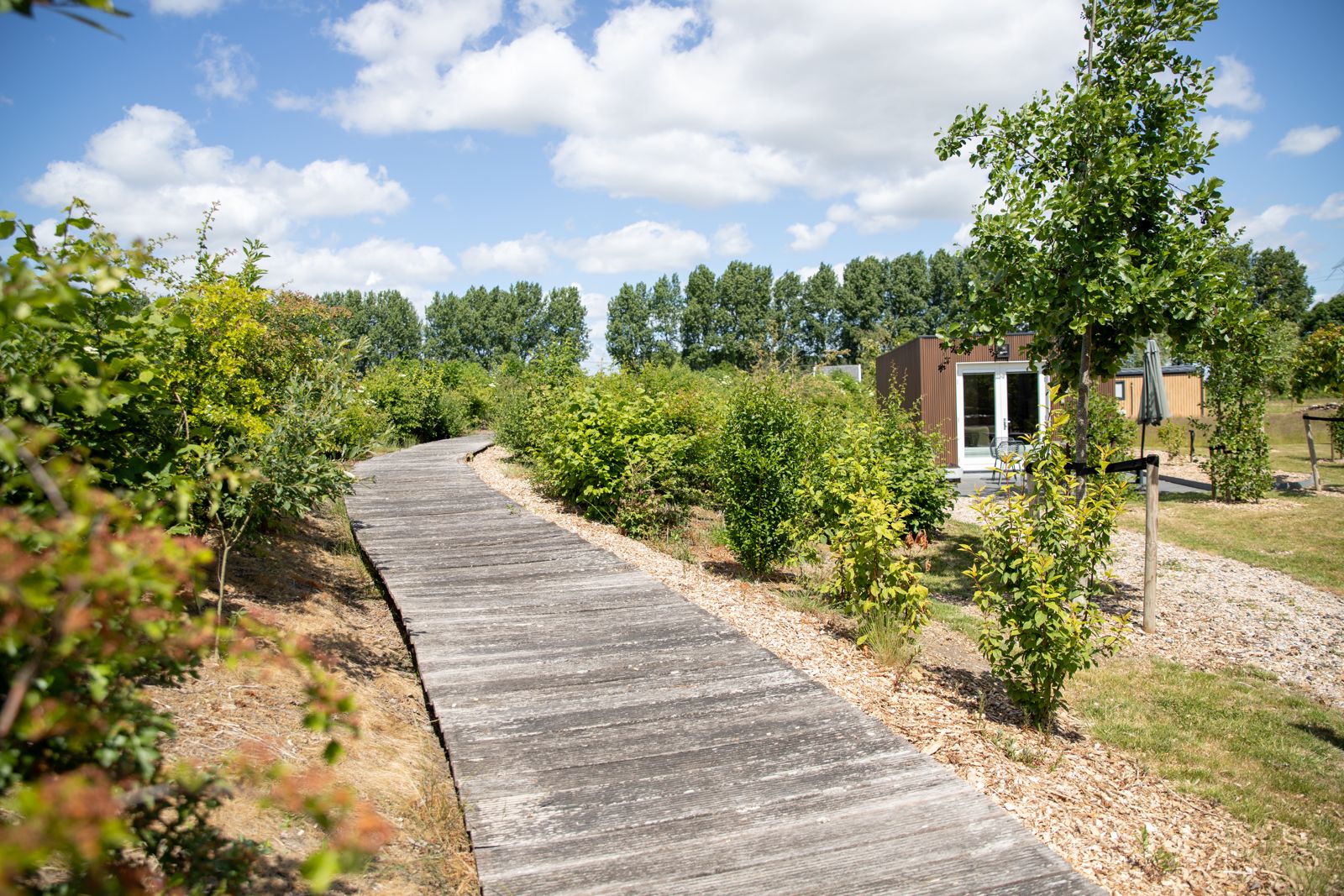 Natuurhuisje in Driewegen