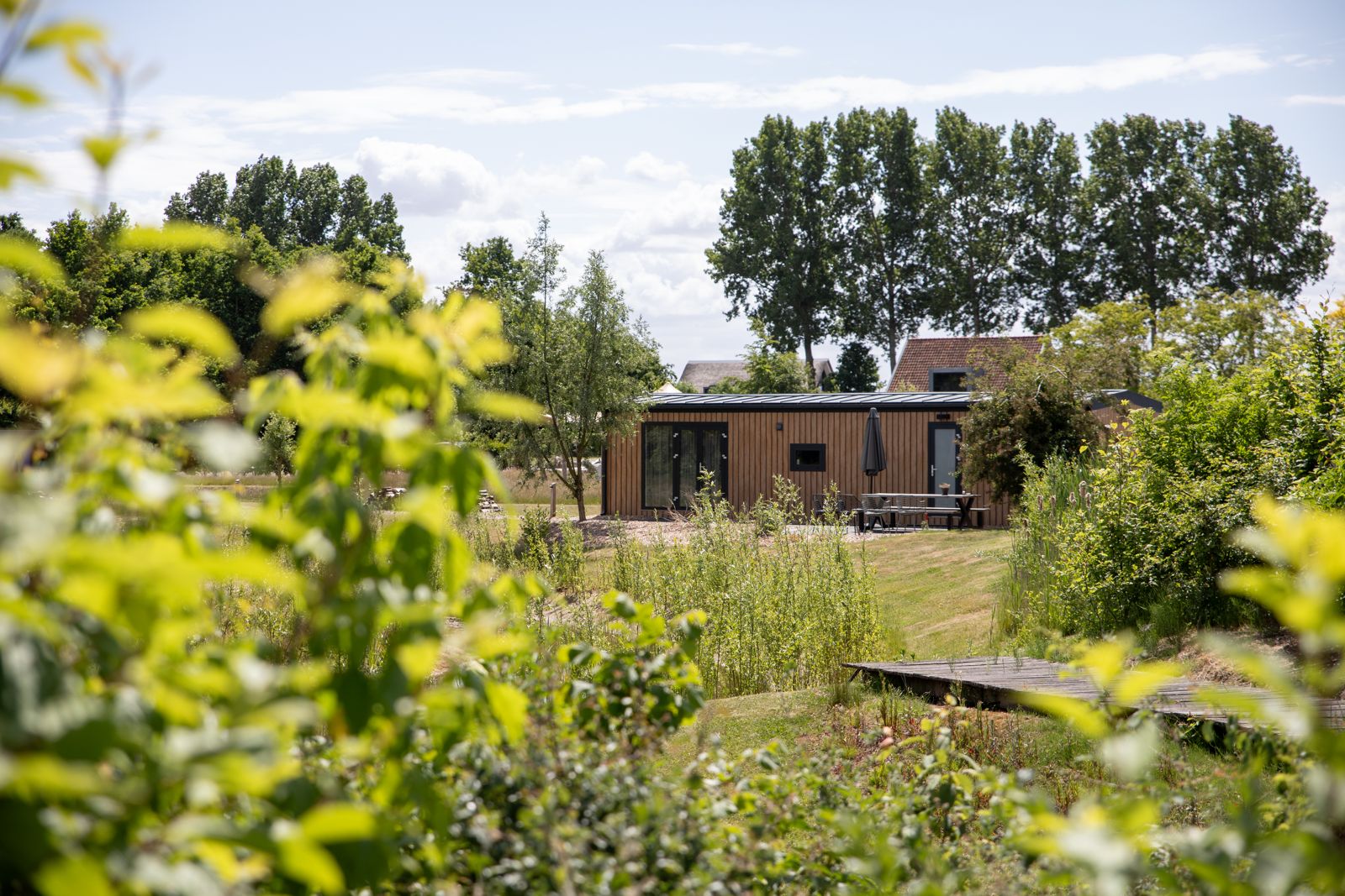 Casa nella natura a Driewegen