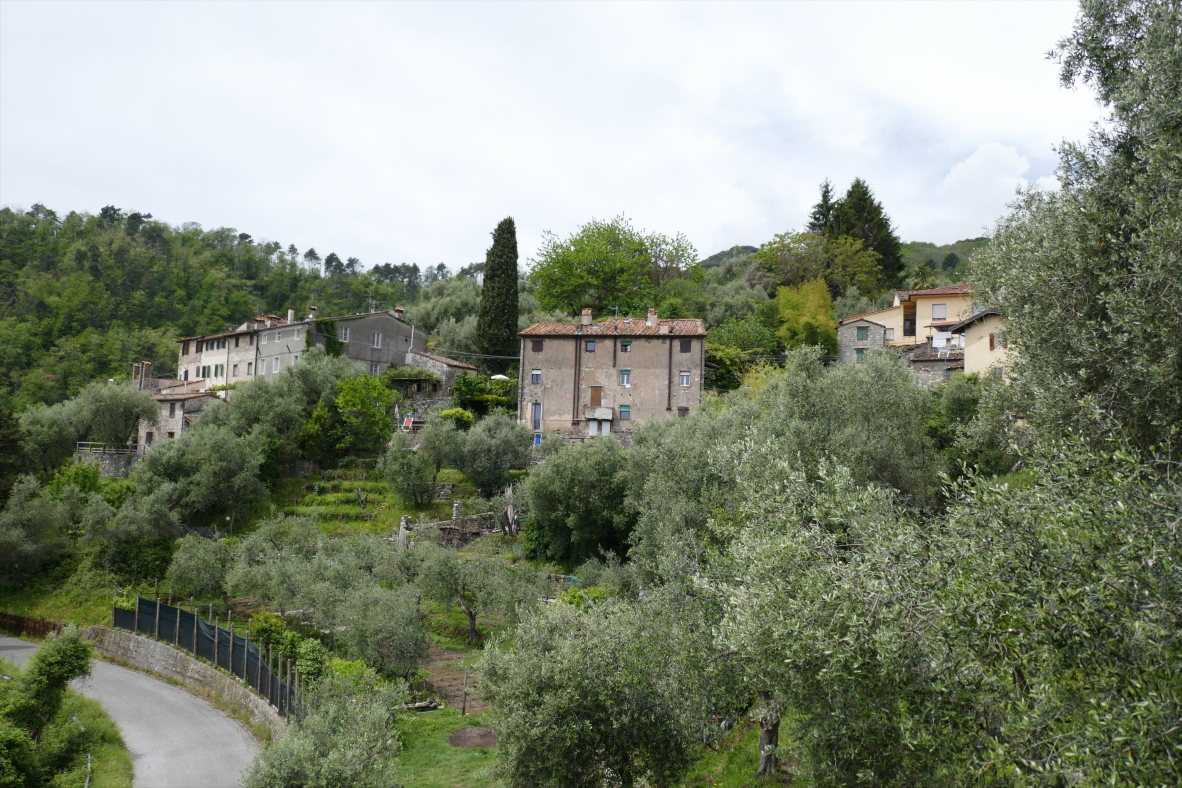 - image: 26