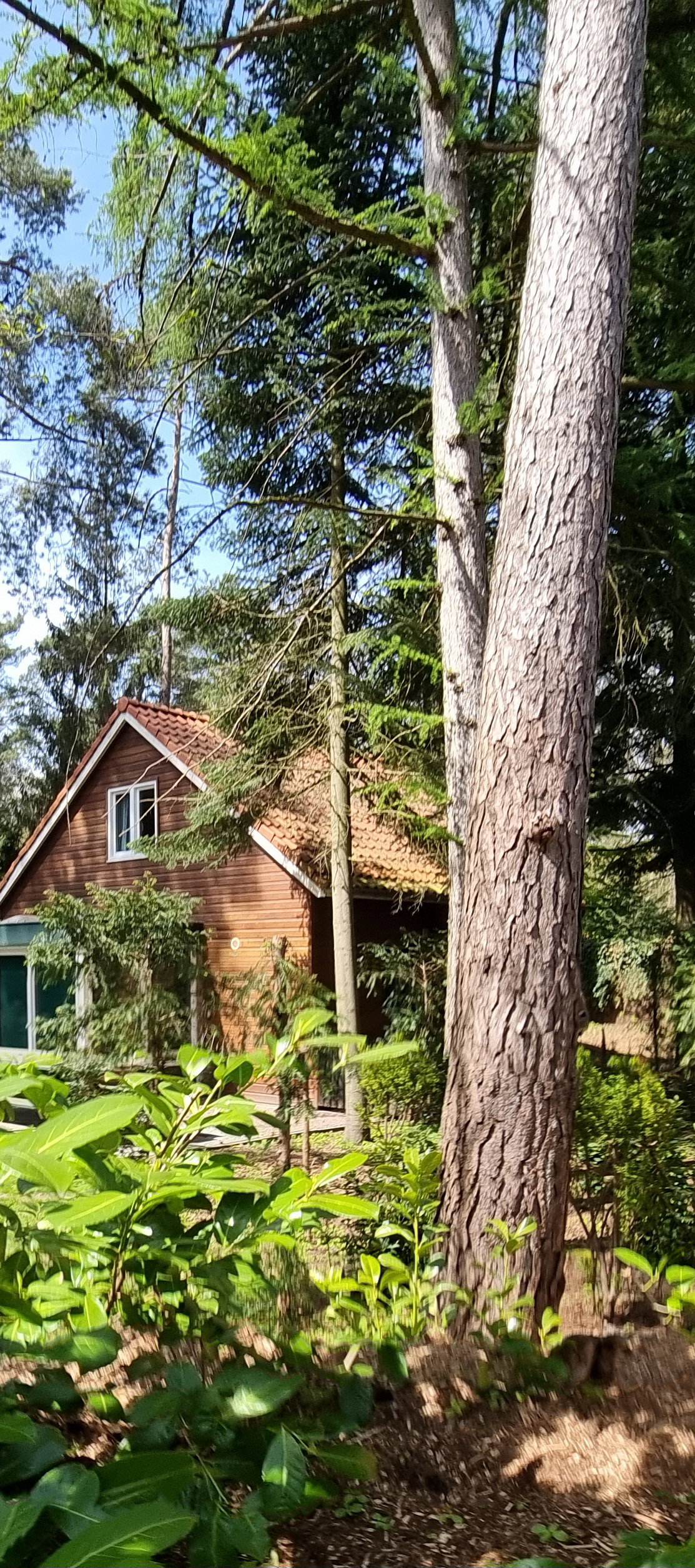 Maison nature à Maarn