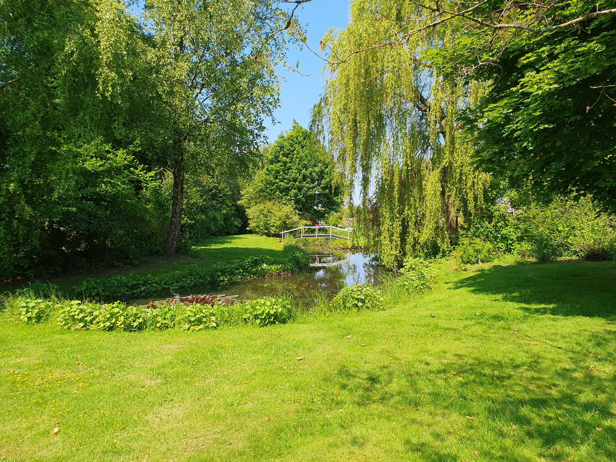 Natuurhuisje in Surhuisterveen