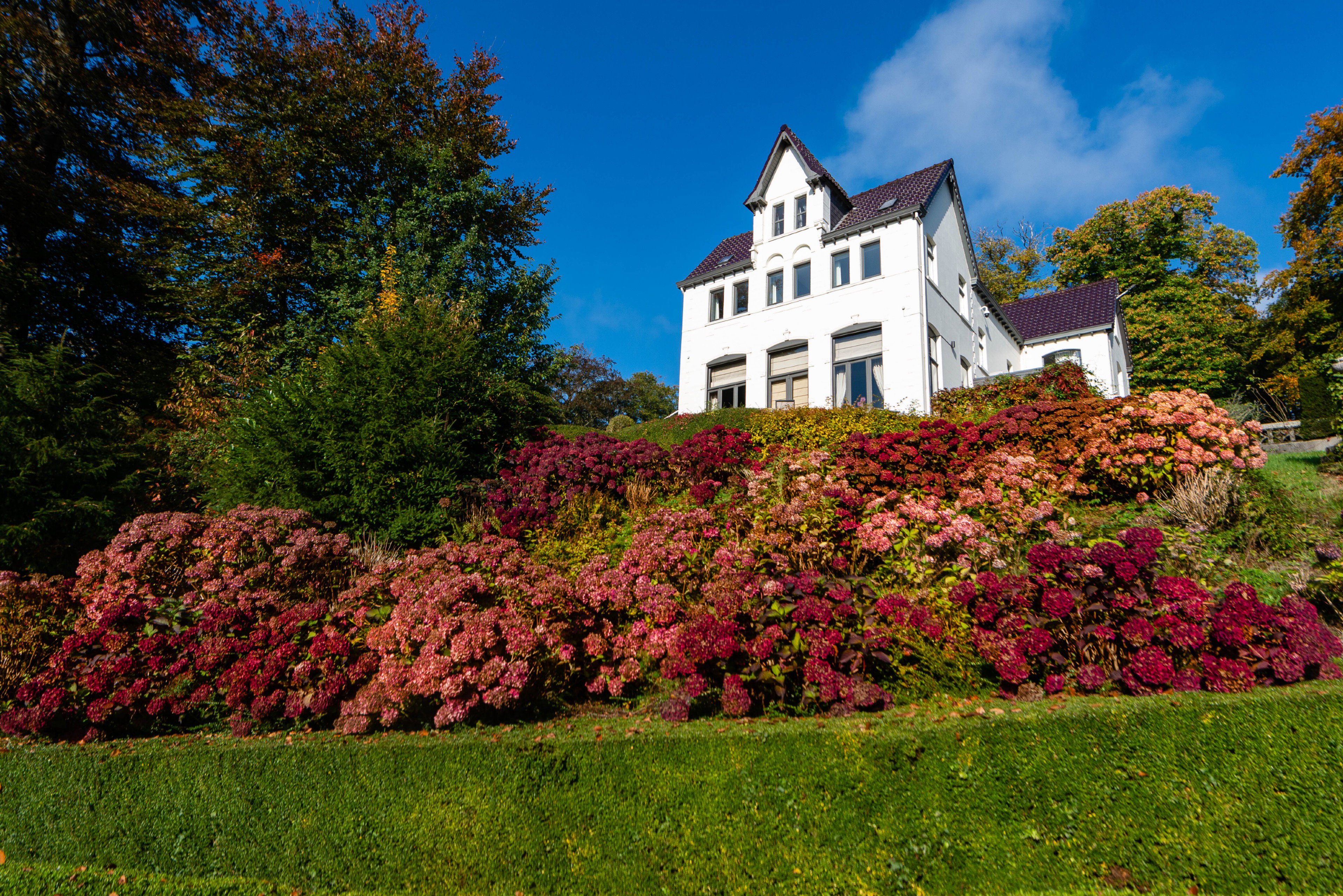 Natuurhuisje in Ronse