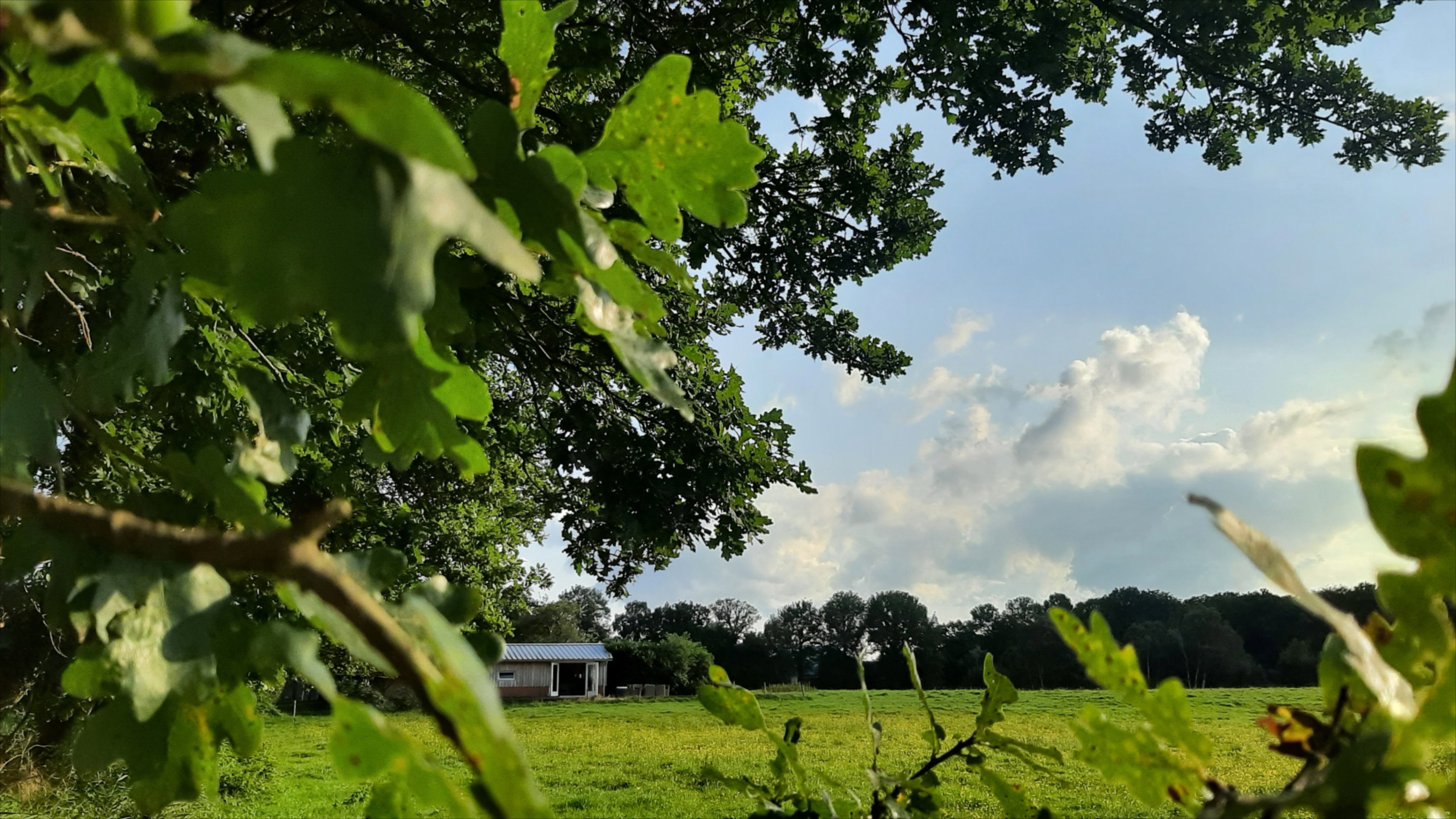 Natuurhuisje in Oosterwolde