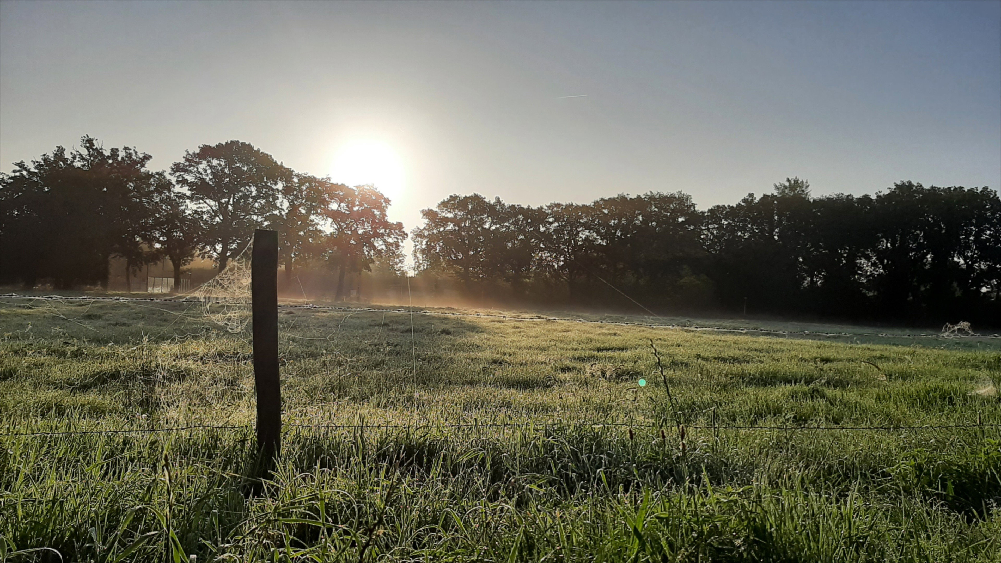 Natuurhuisje in Oosterwolde