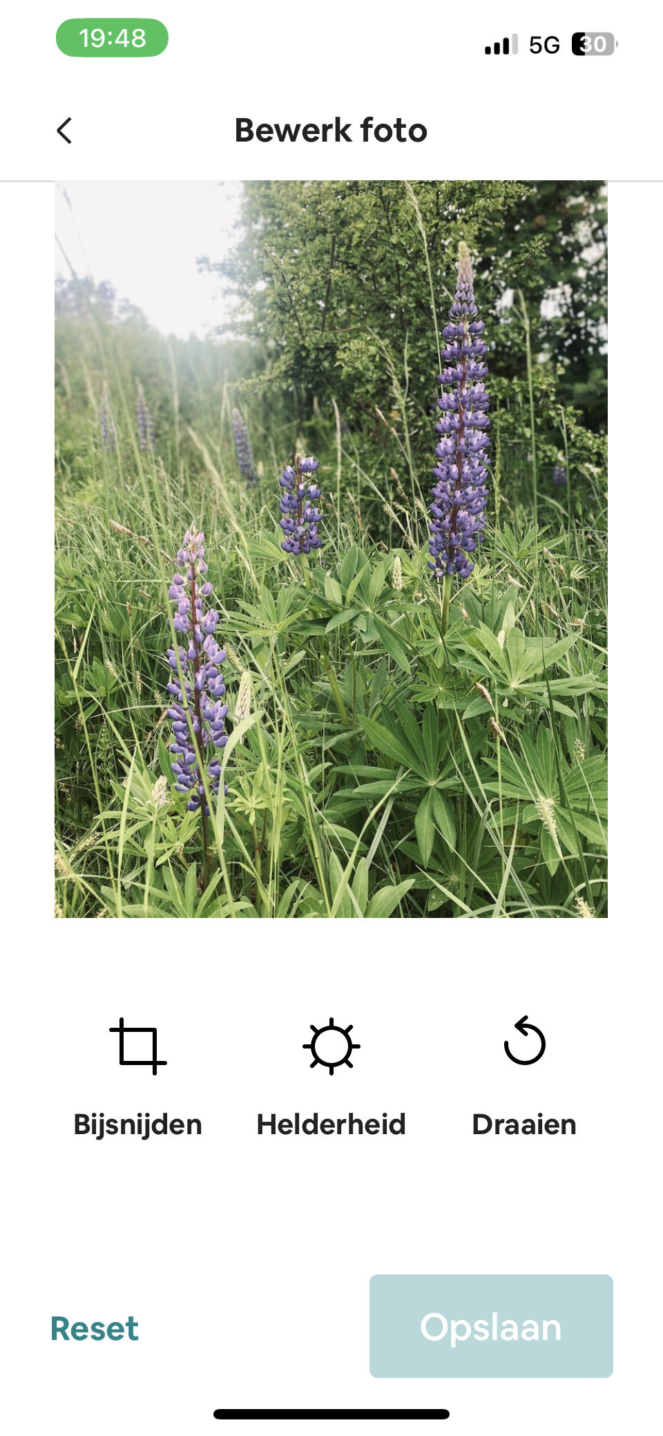 - image: 53