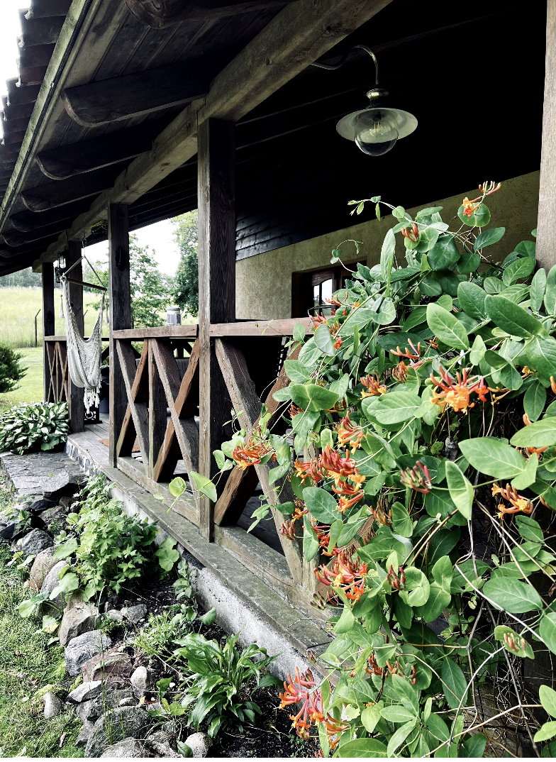 Natuurhuisje in Mragowo