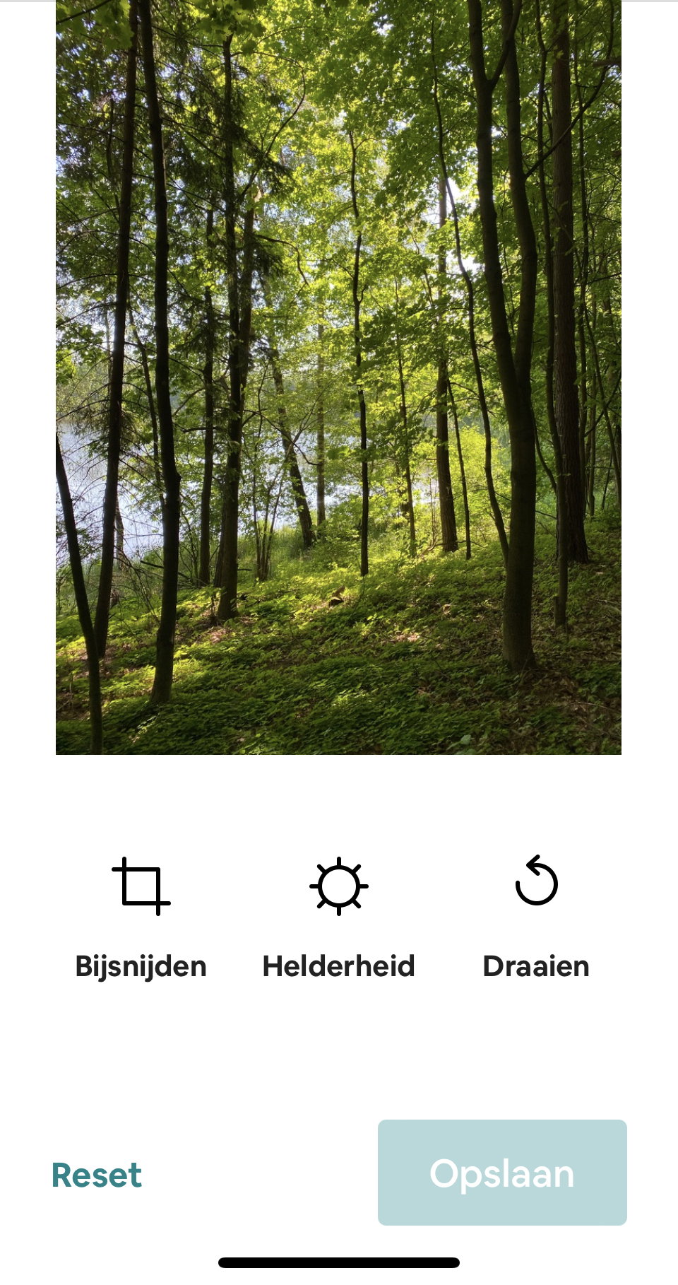 - image: 42