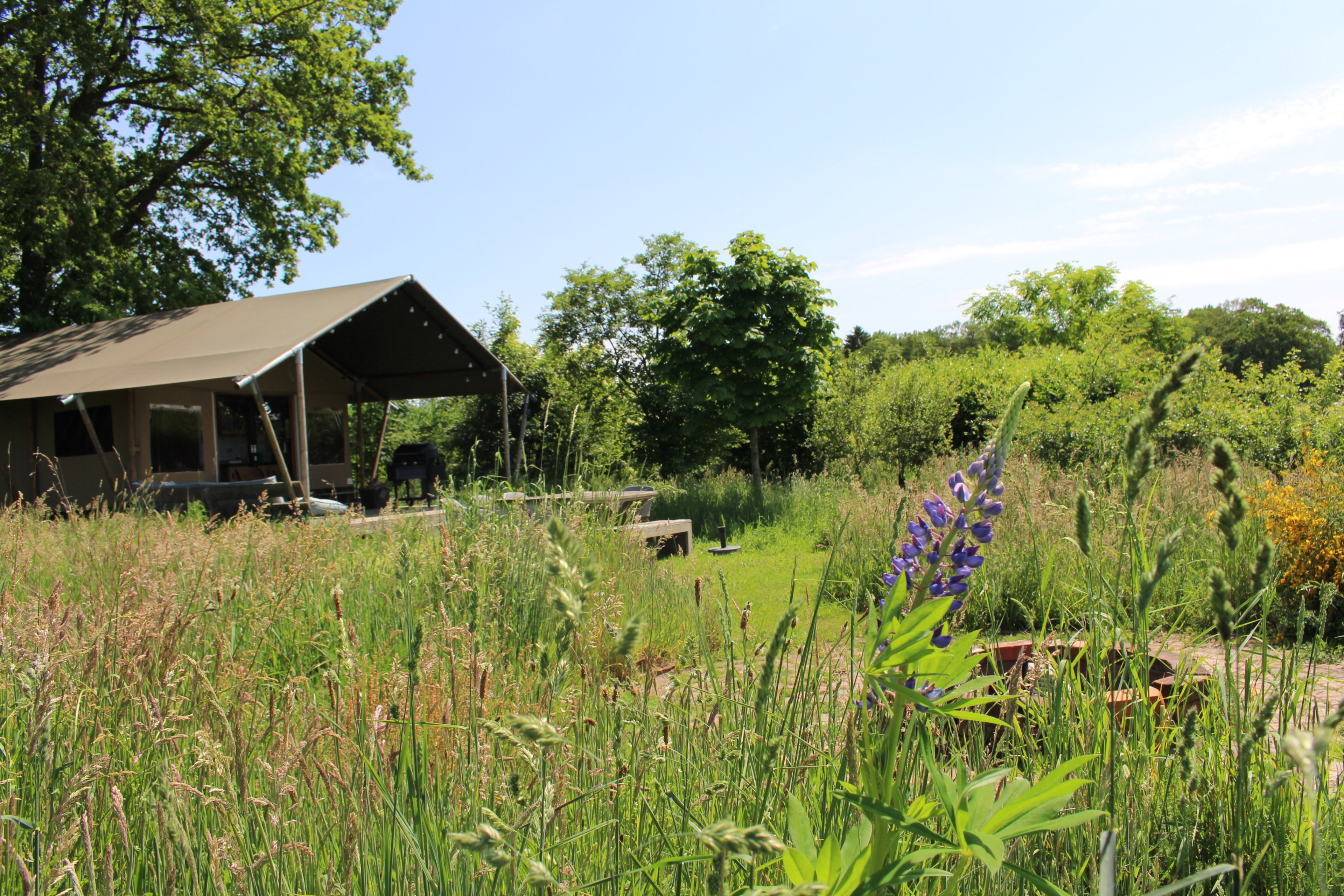 Nature house in Winterswijk - Meddo