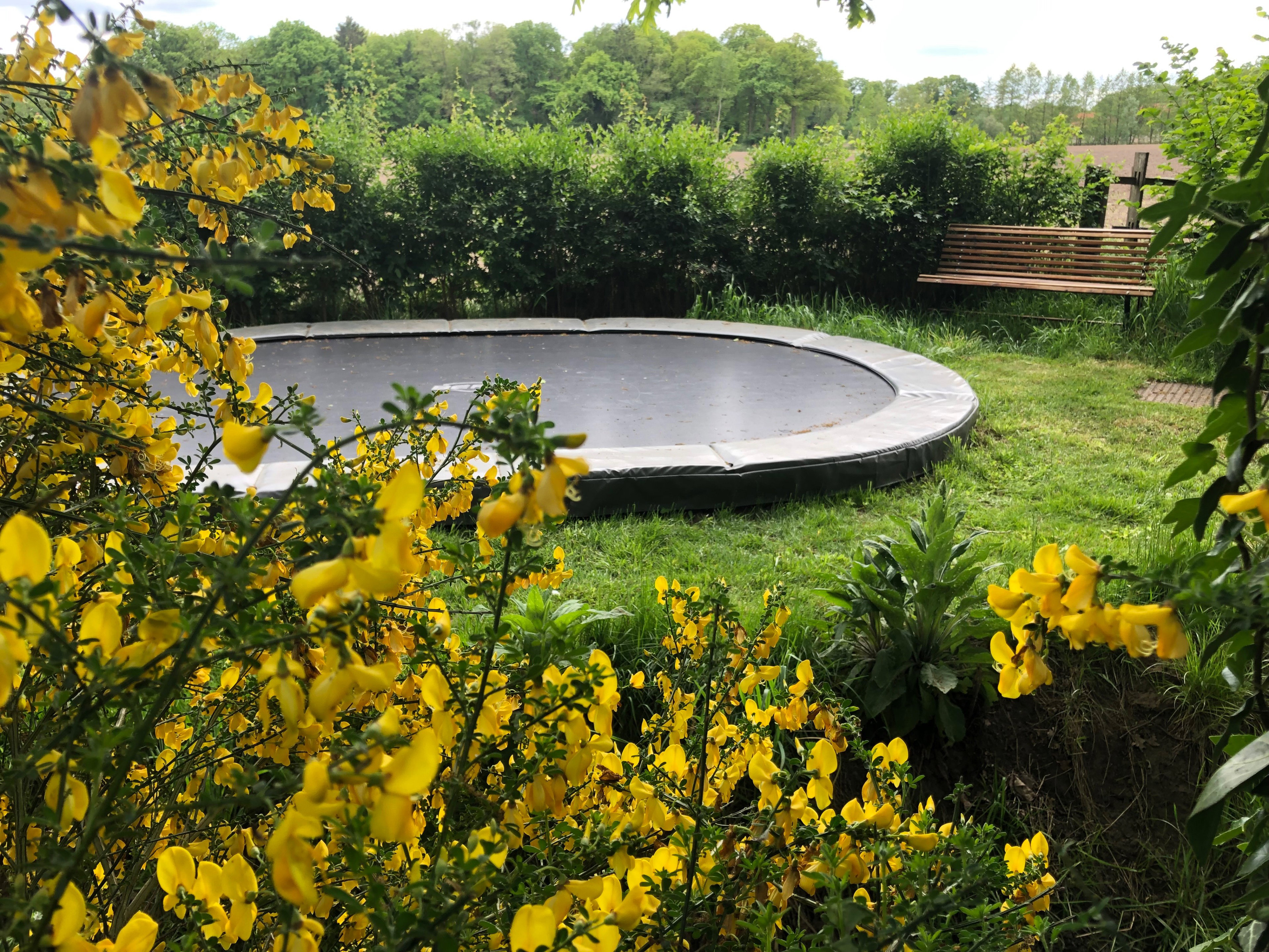 Nature house in Winterswijk - Meddo