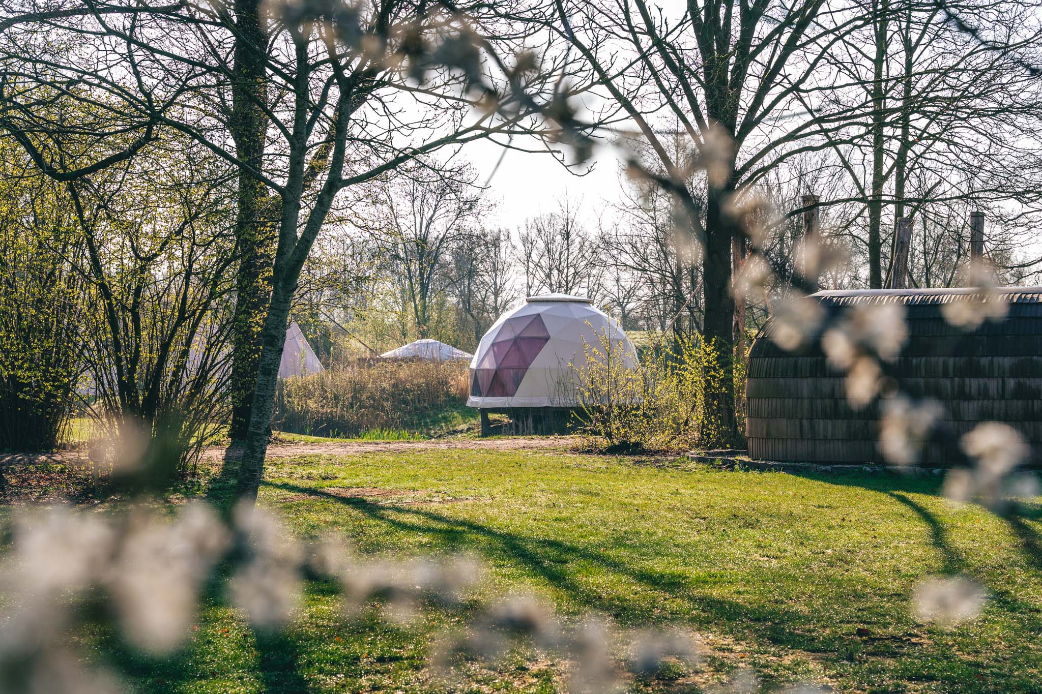 Maison nature à Zeewolde