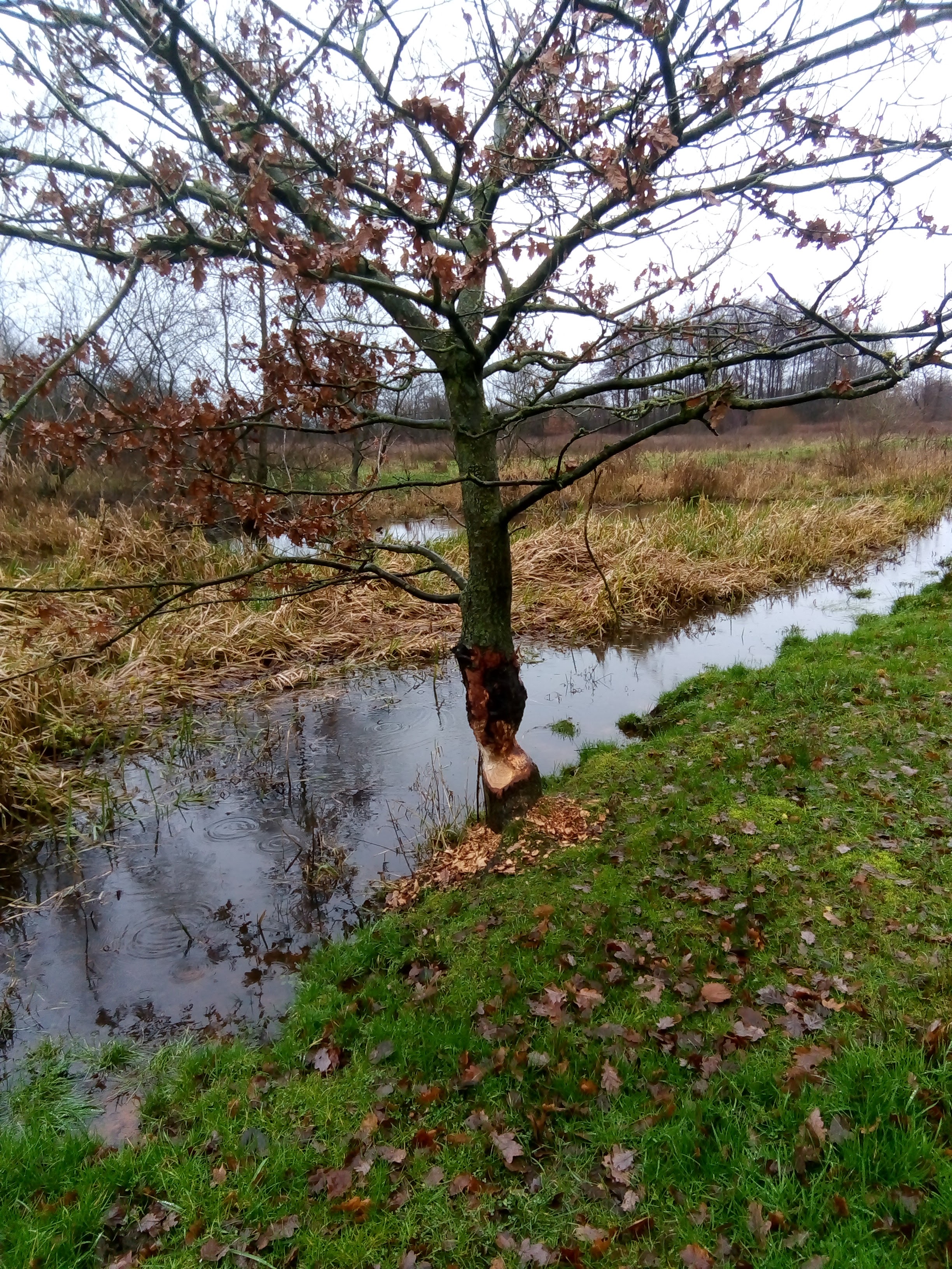 Natuurhuisje in Melderslo