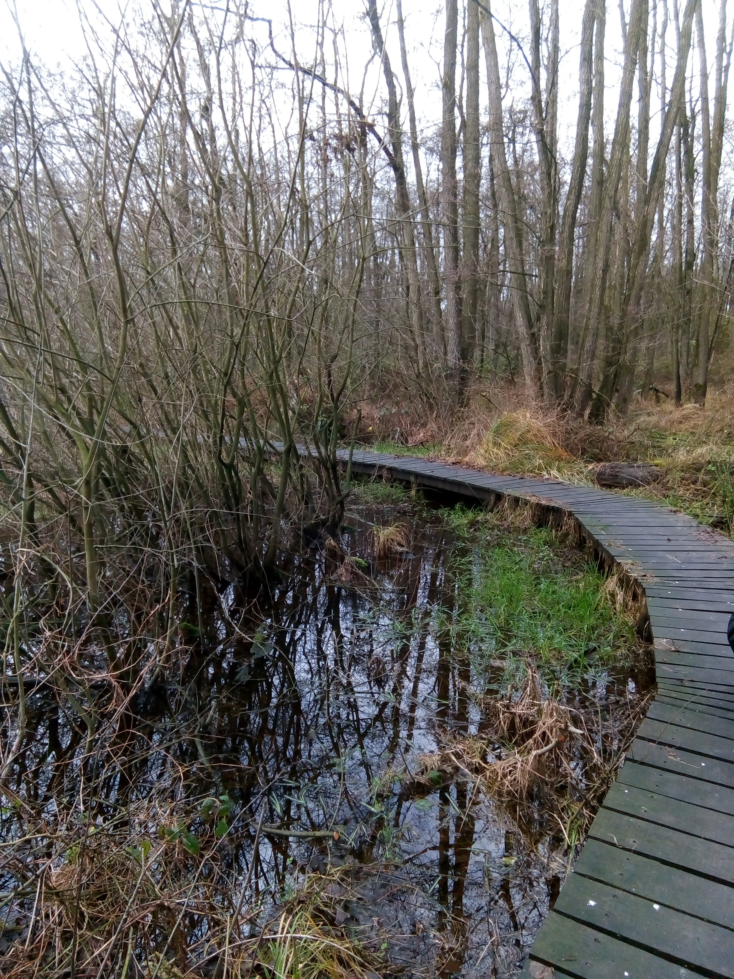 Natuurhuisje in Melderslo