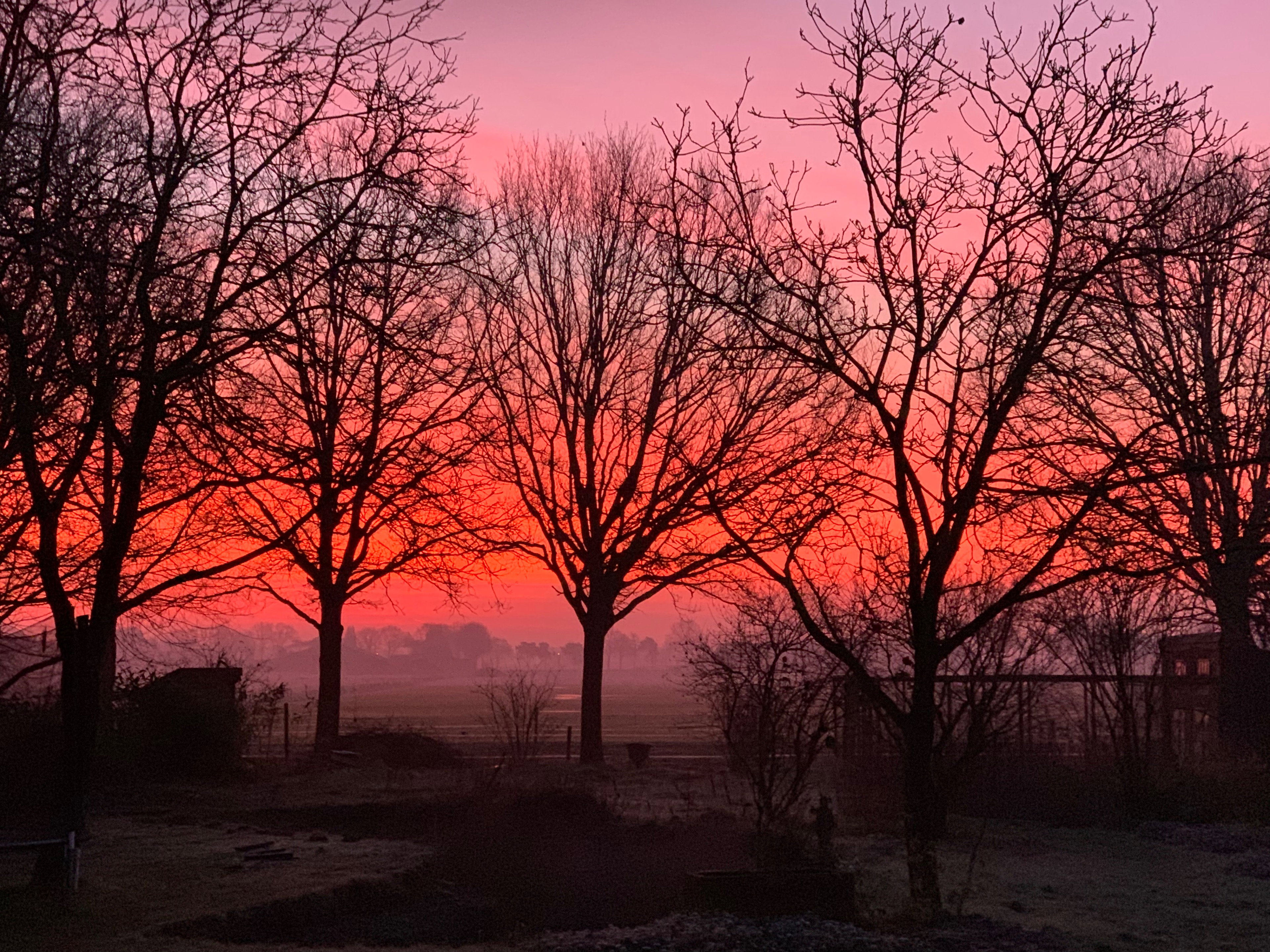 Natuurhuisje in Oostelbeers