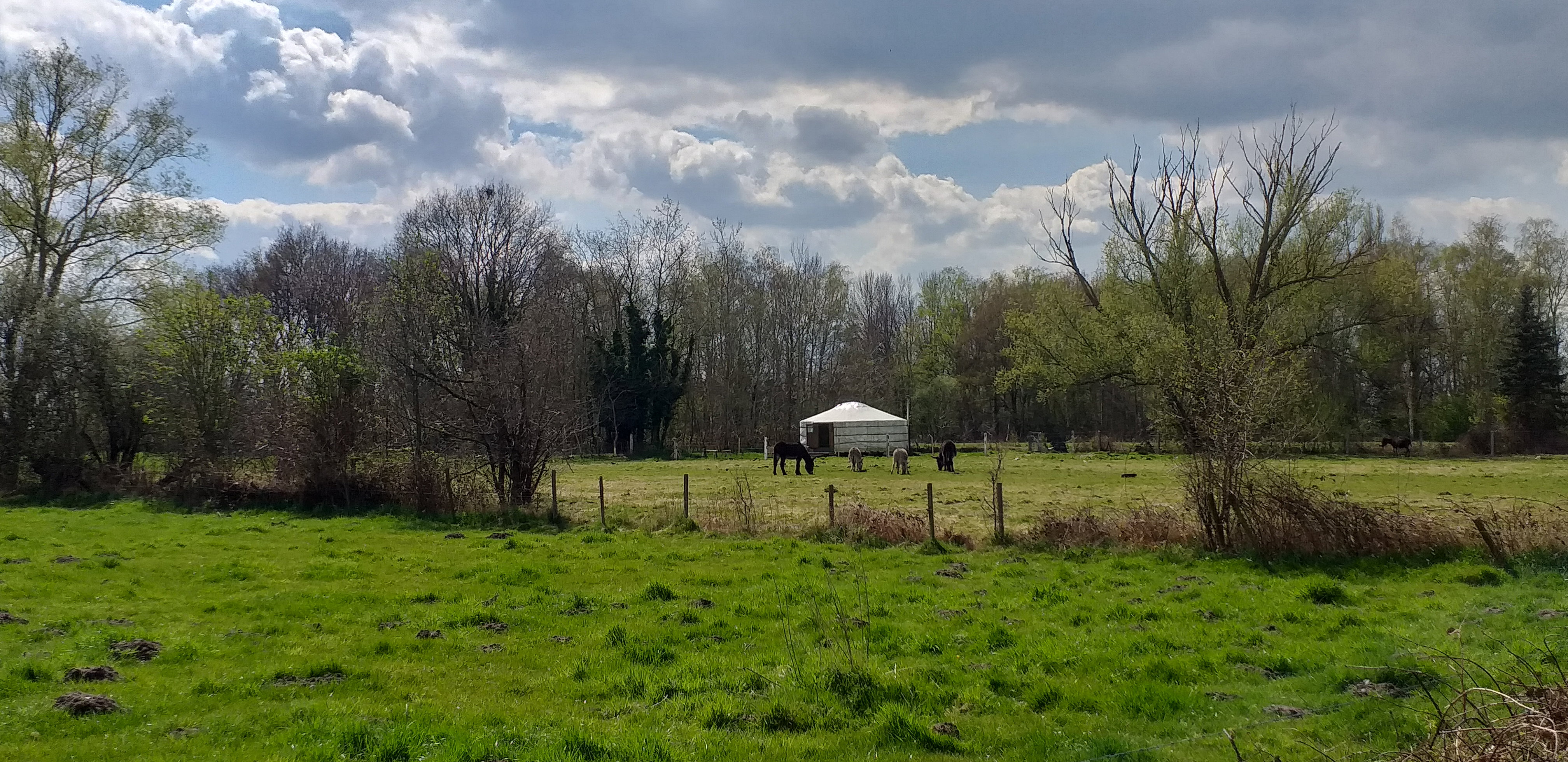 Natuurhuisje in Duffel