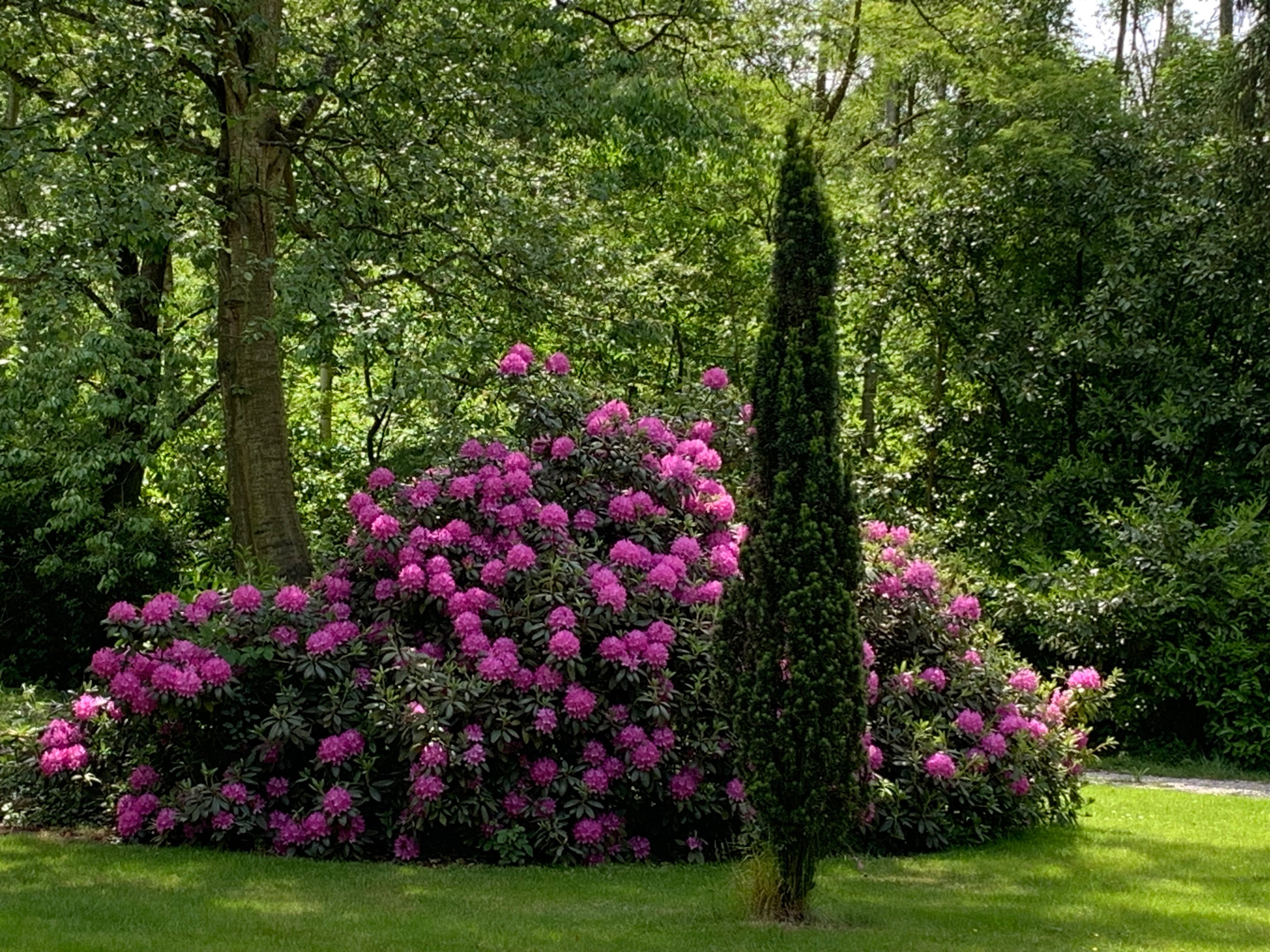 - image: 23