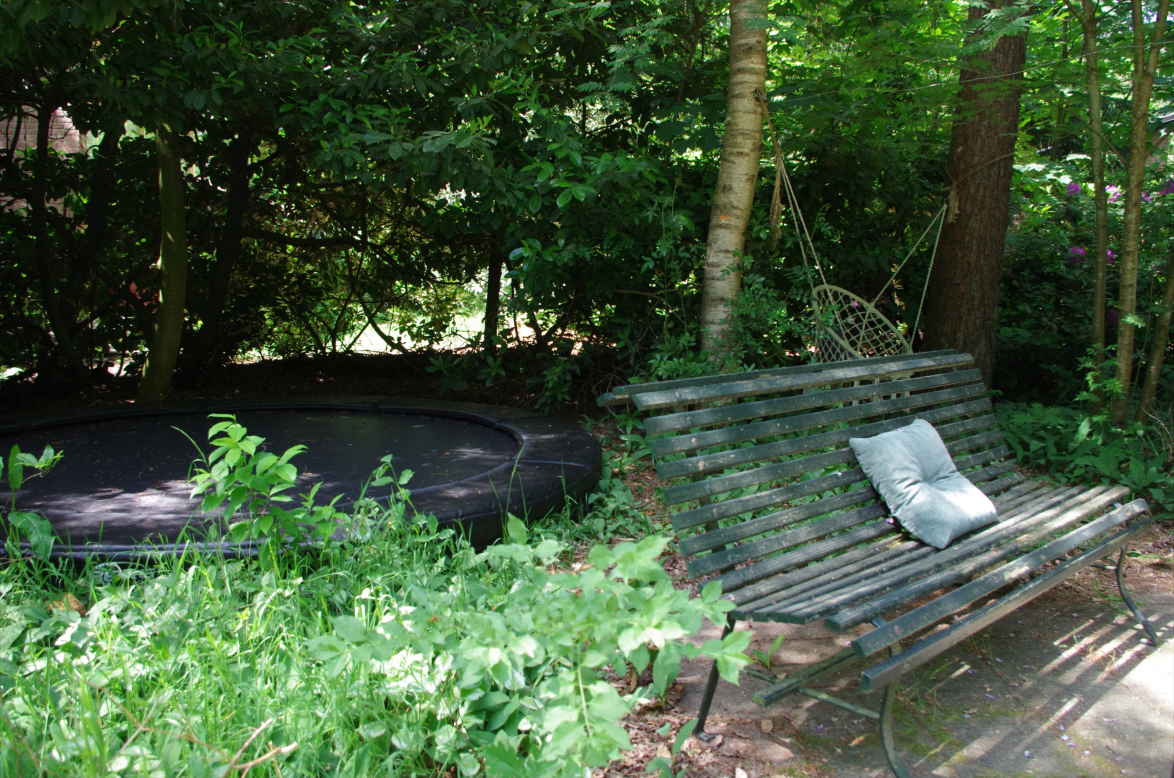 Natuurhuisje in Stegeren