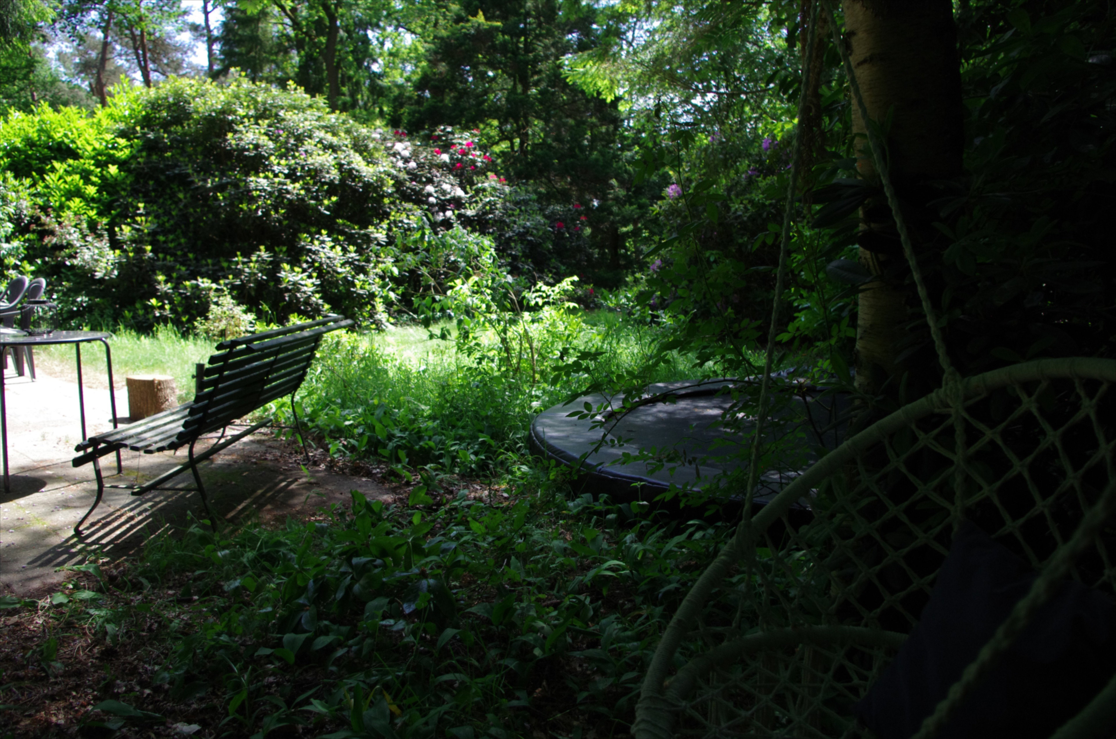 Natuurhuisje in Stegeren