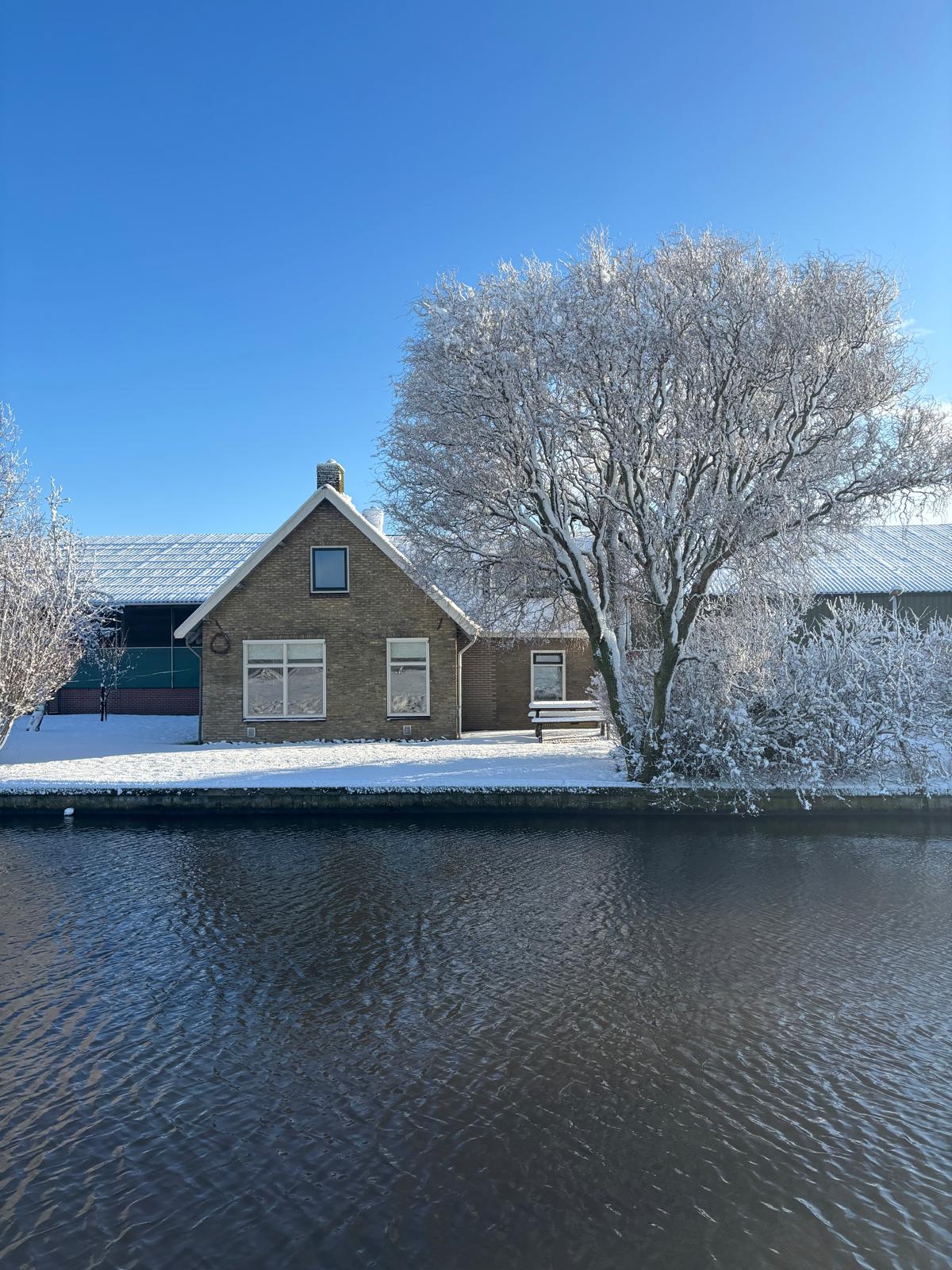 Casa nella natura a Tjerkwerd