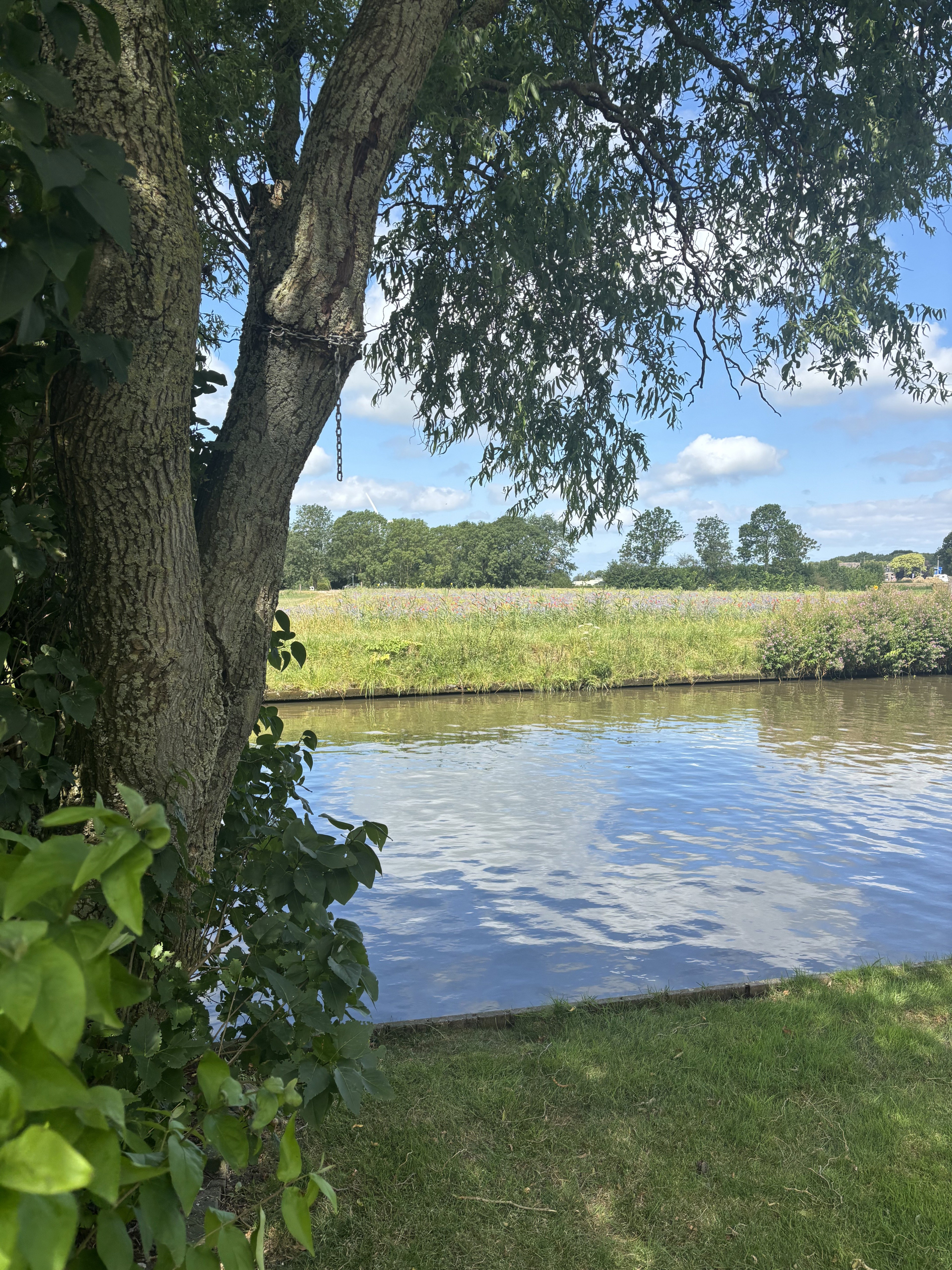 Casa nella natura a Tjerkwerd