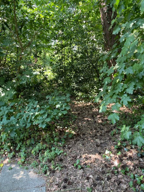 Naturhäuschen in IJhorst