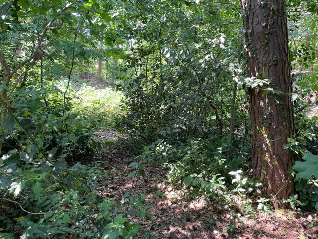 Naturhäuschen in IJhorst