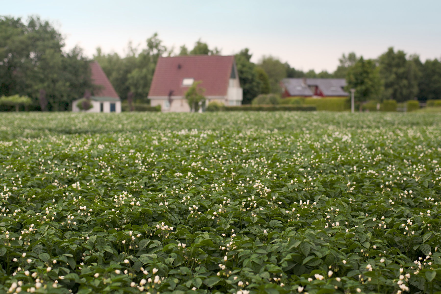 Natuurhuisje in Schoonloo