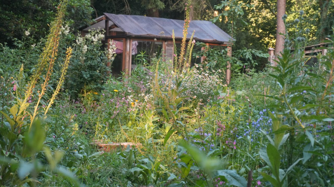Casa nella natura a Balen