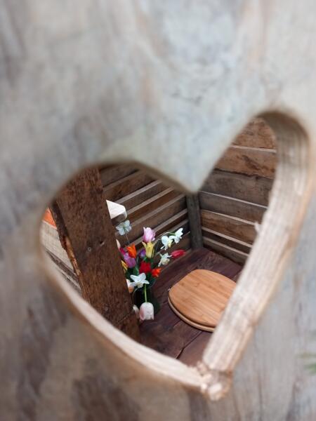 - image: 13