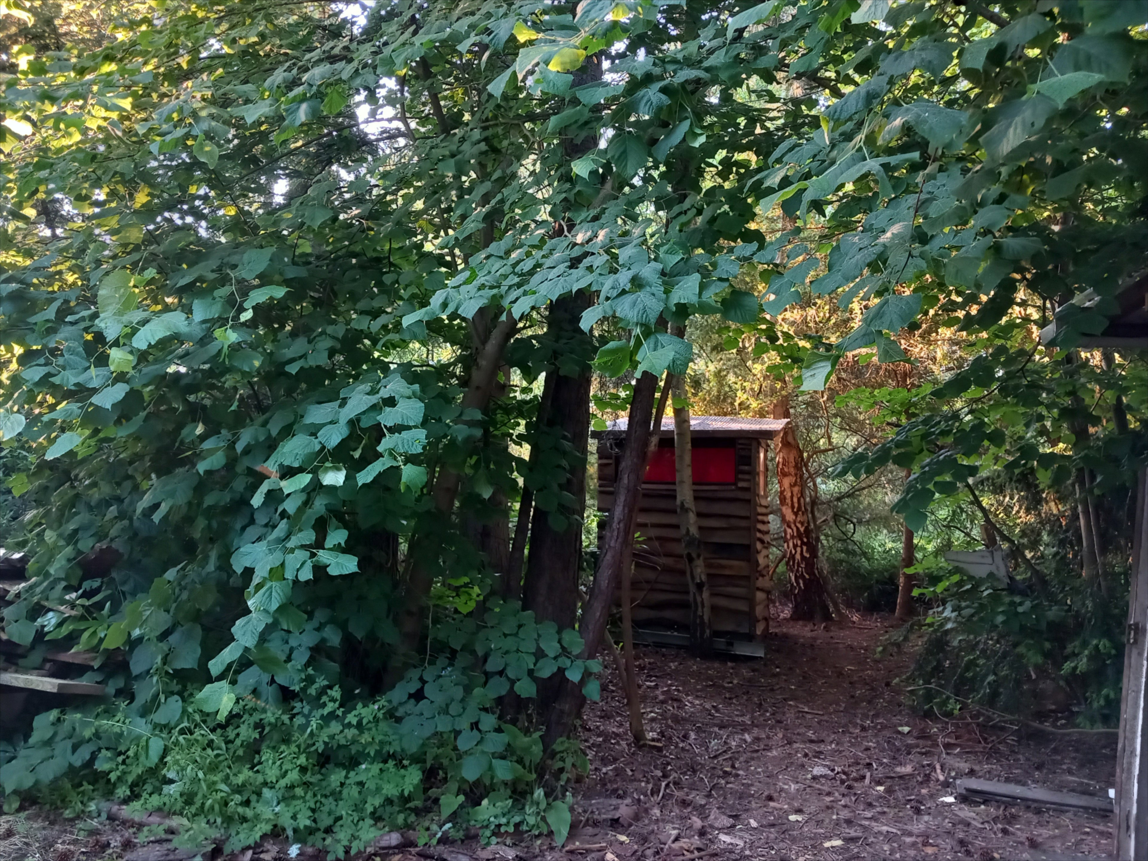 - image: 18