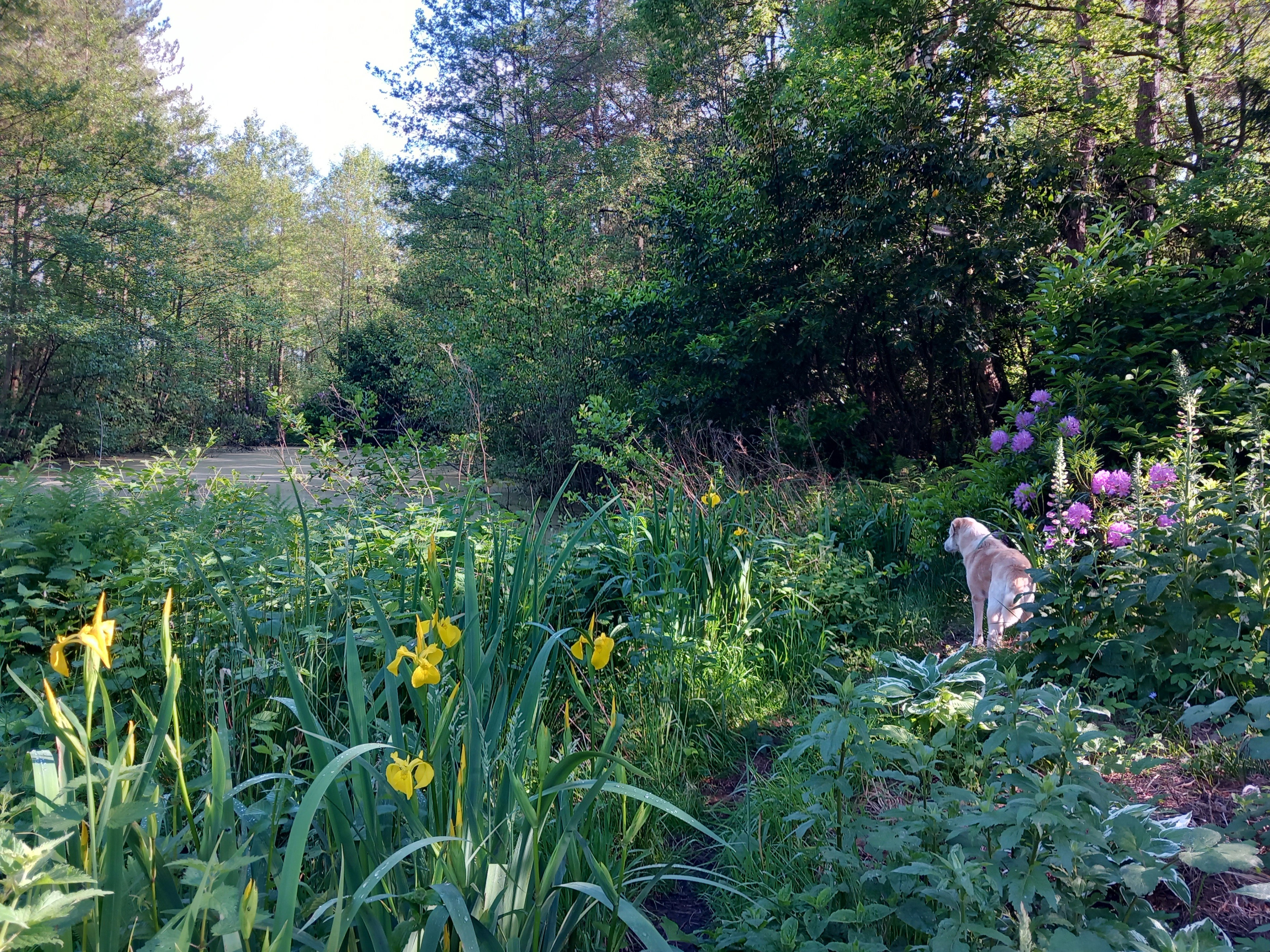 Maison nature à Balen